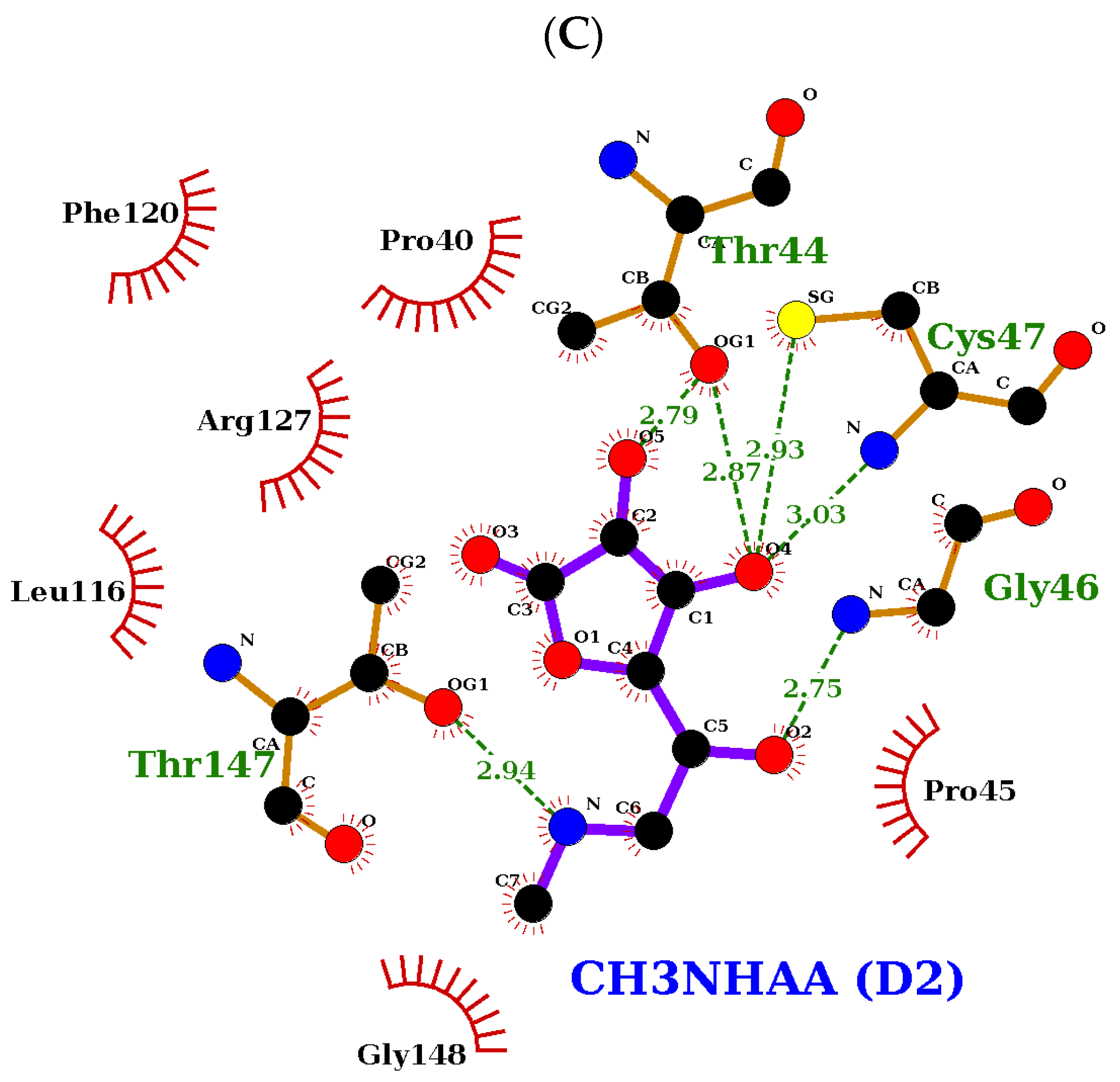 Ijms 24 01410 g010b Ijms 24 01410 g010b