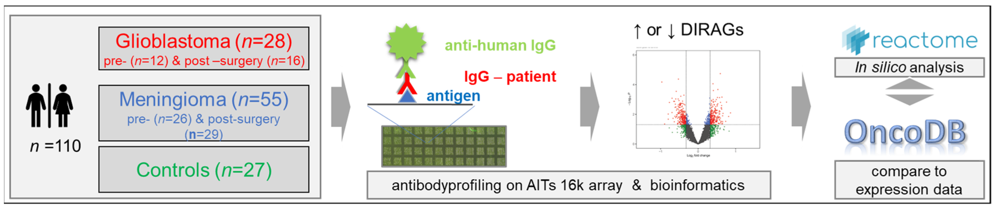 Ijms 24 01411 g001 Ijms 24 01411 g001