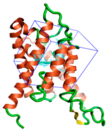 Ijms 24 01412 i001 Ijms 24 01412 i001