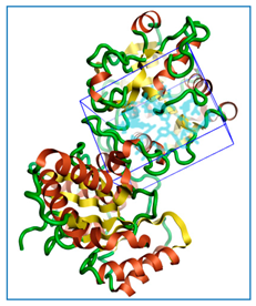 Ijms 24 01412 i002 Ijms 24 01412 i002