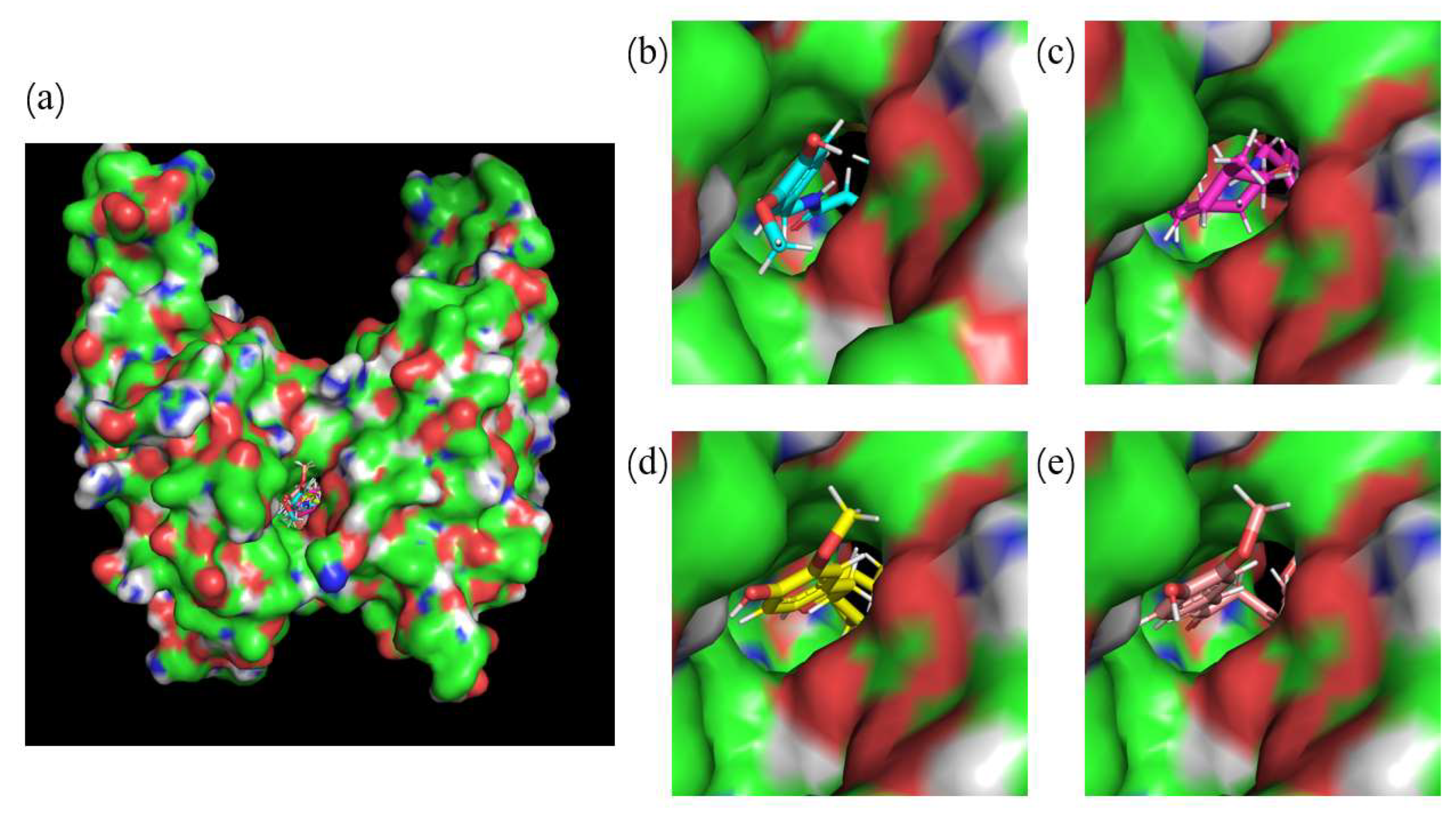 Ijms 24 01413 g002 Ijms 24 01413 g002