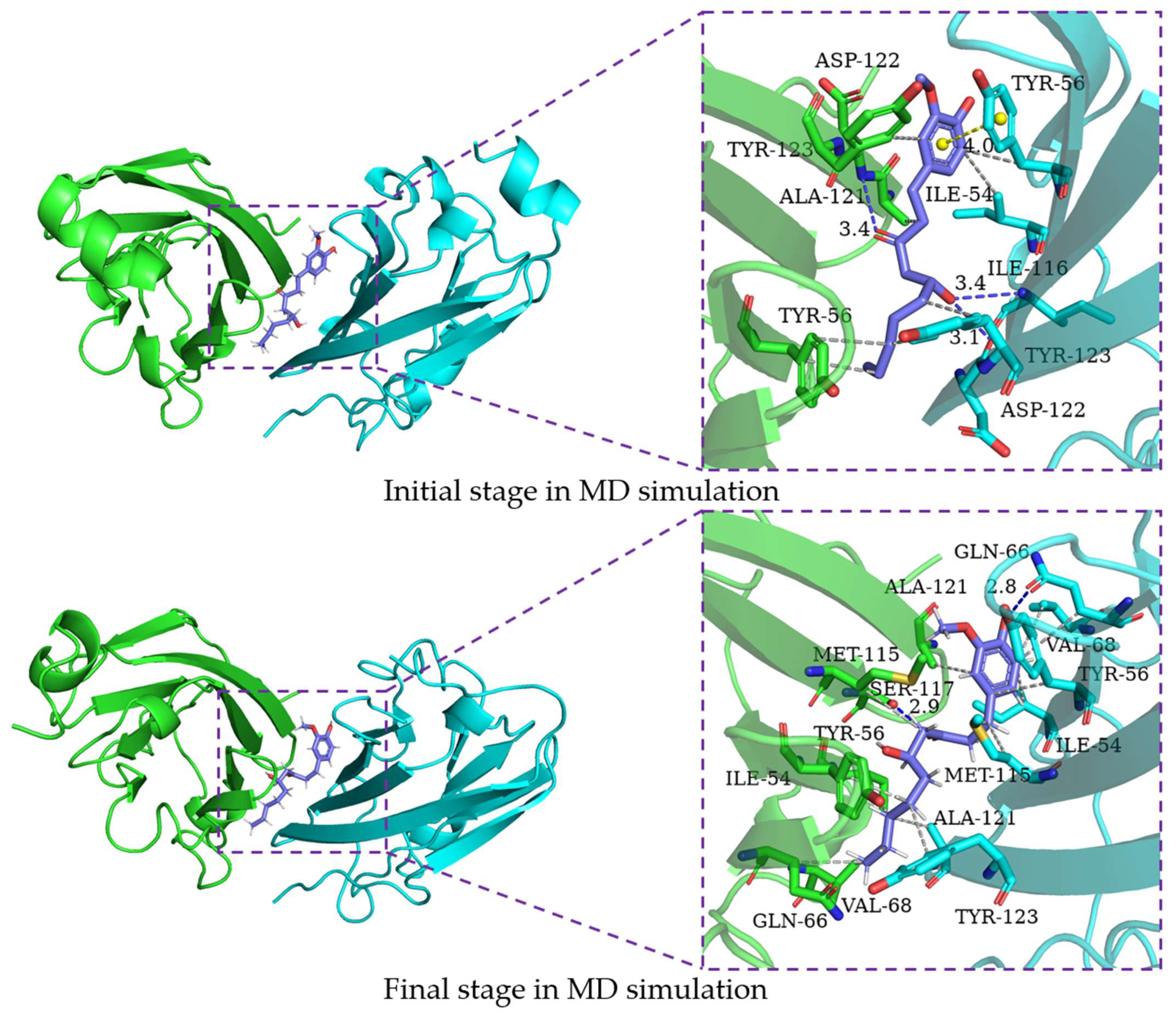 Ijms 24 01413 g008 Ijms 24 01413 g008