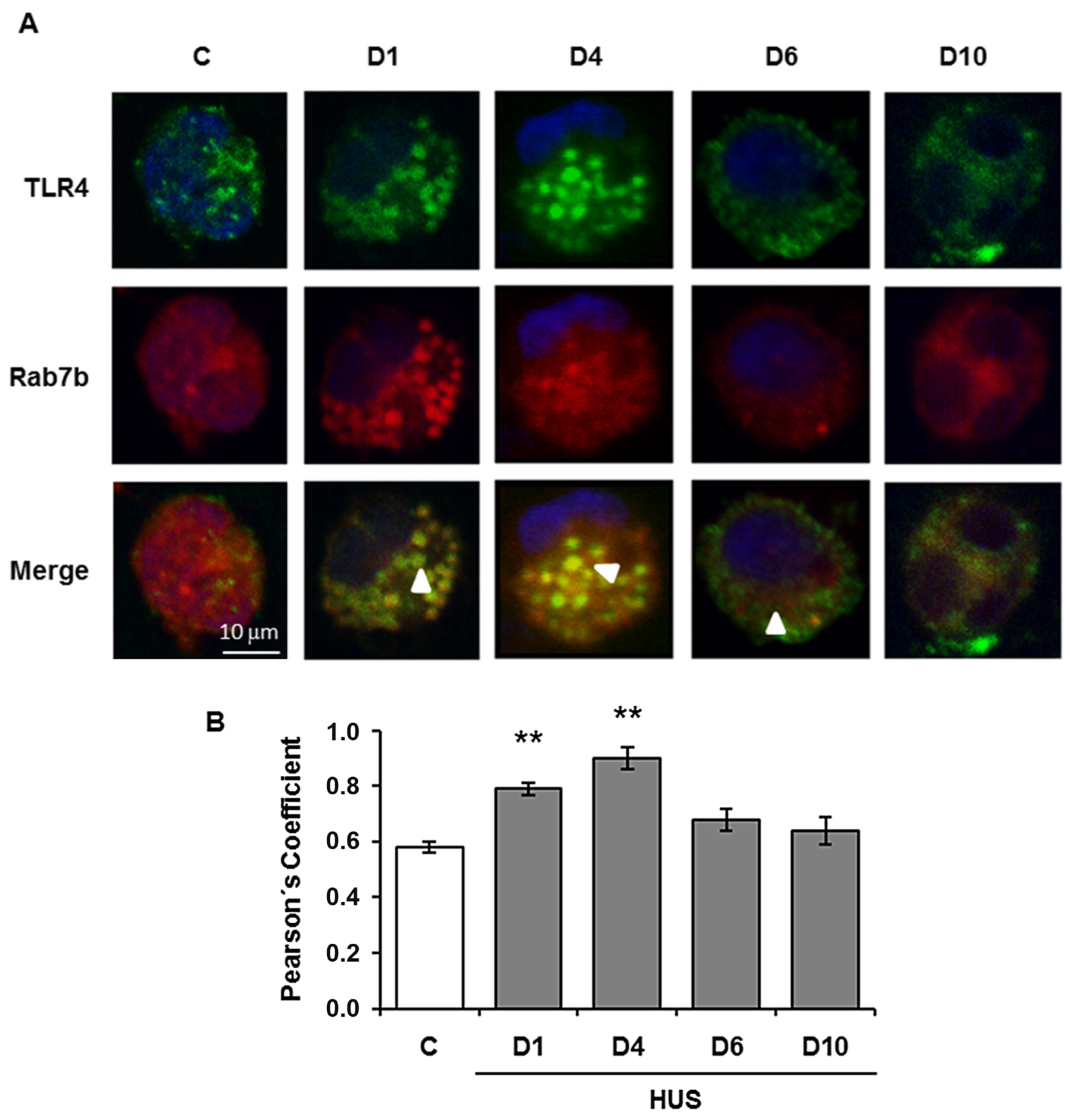 Ijms 24 01415 g002 Ijms 24 01415 g002