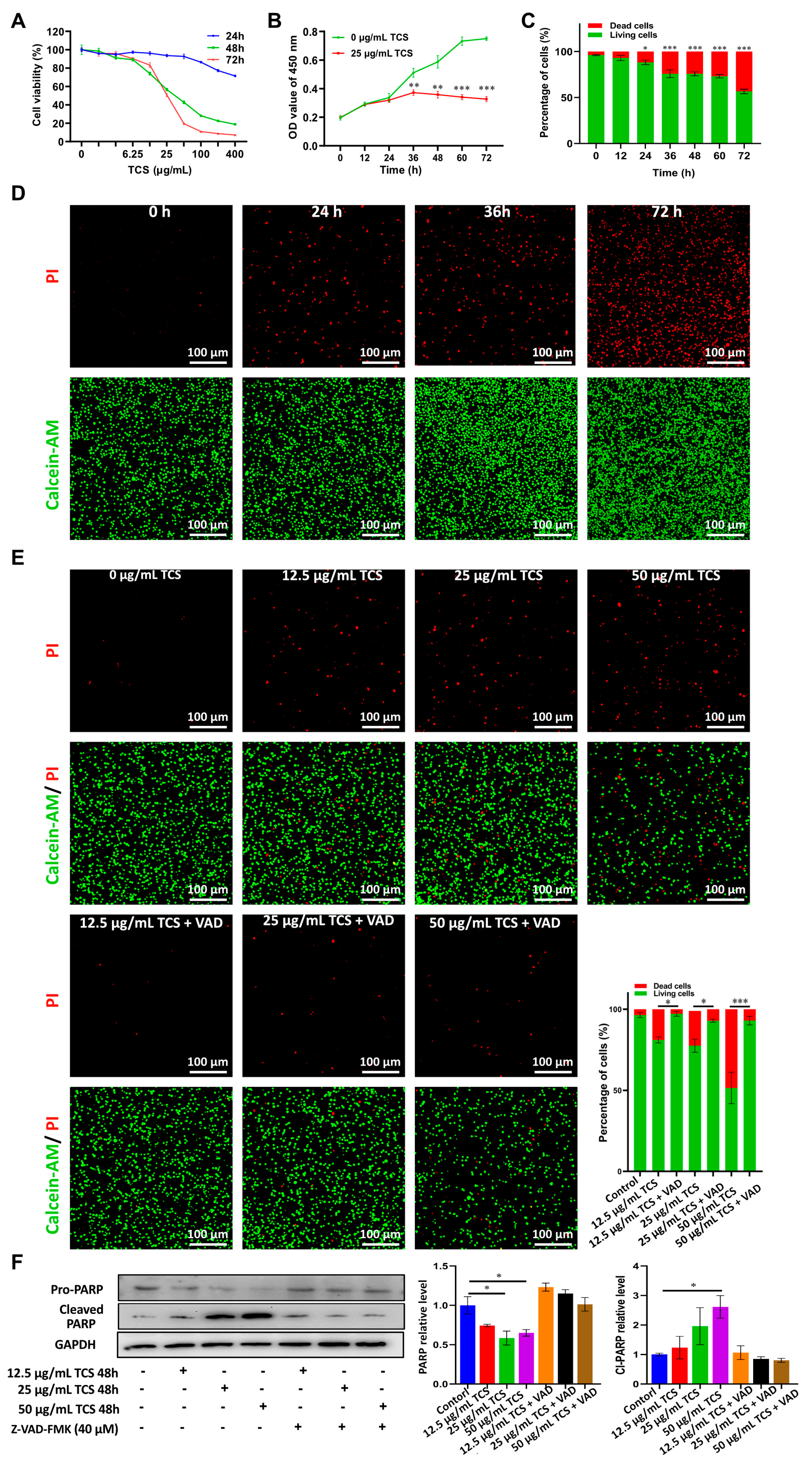 Ijms 24 01416 g001 Ijms 24 01416 g001