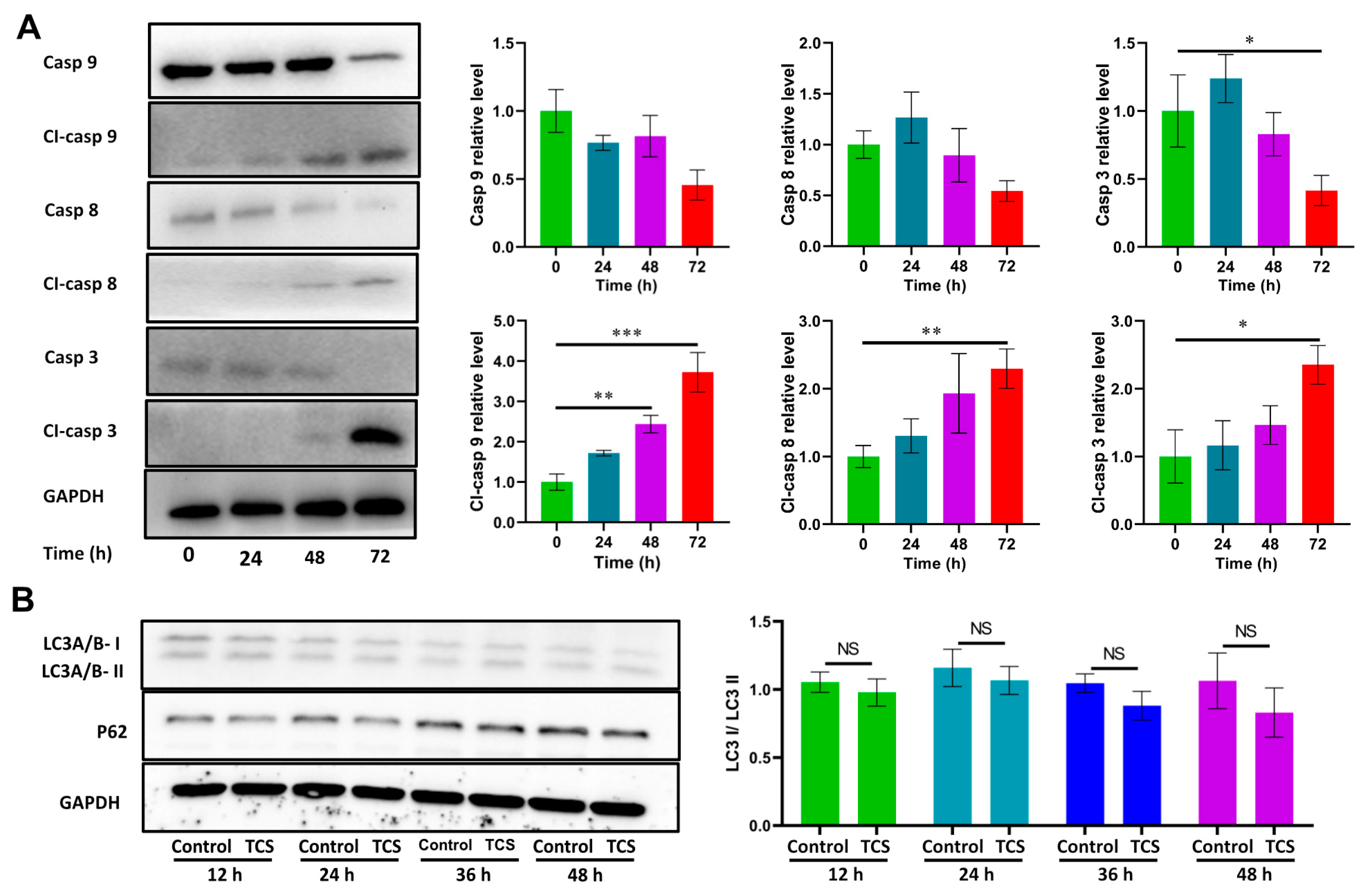 Ijms 24 01416 g002 Ijms 24 01416 g002