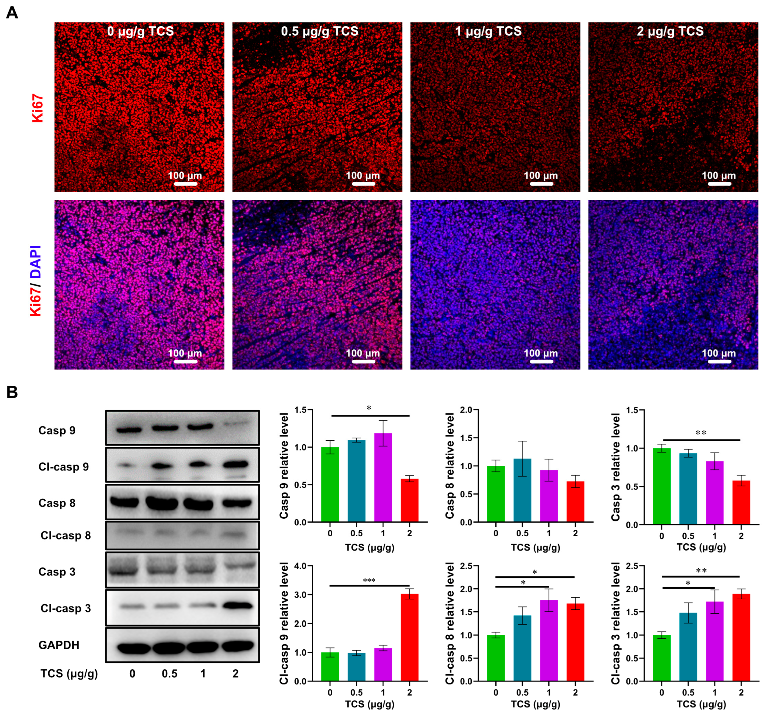 Ijms 24 01416 g004 Ijms 24 01416 g004
