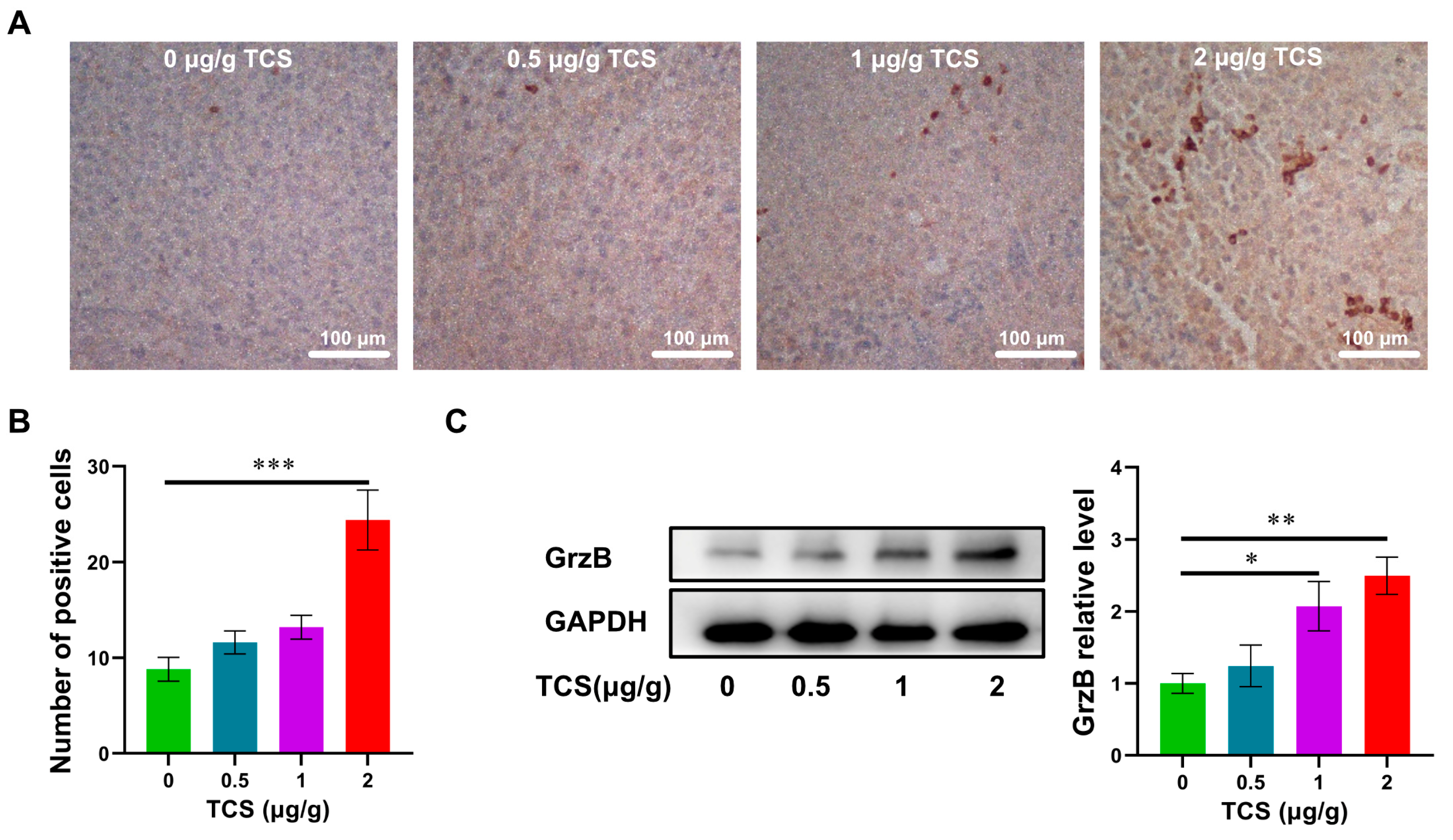 Ijms 24 01416 g006 Ijms 24 01416 g006