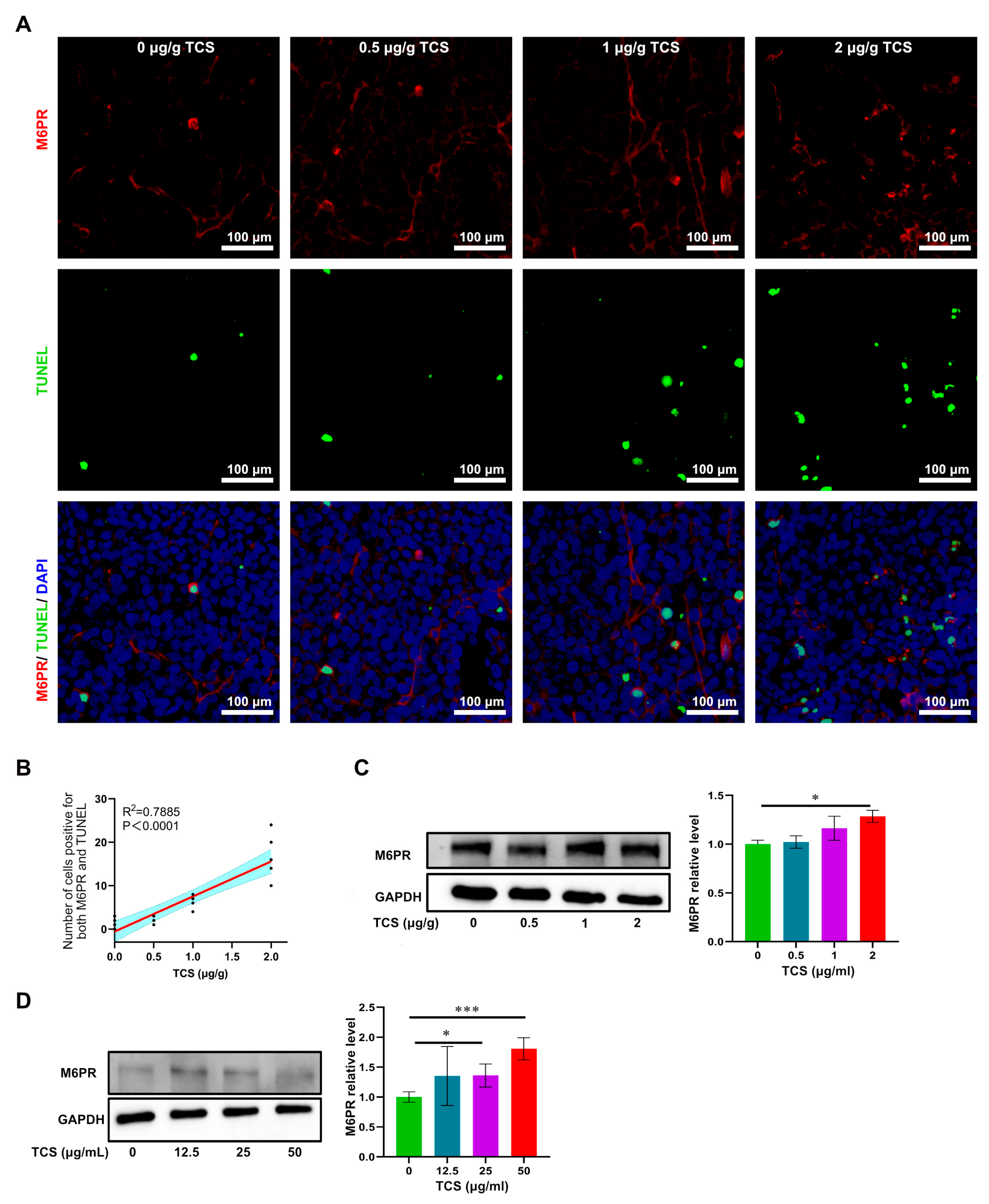 Ijms 24 01416 g008 Ijms 24 01416 g008