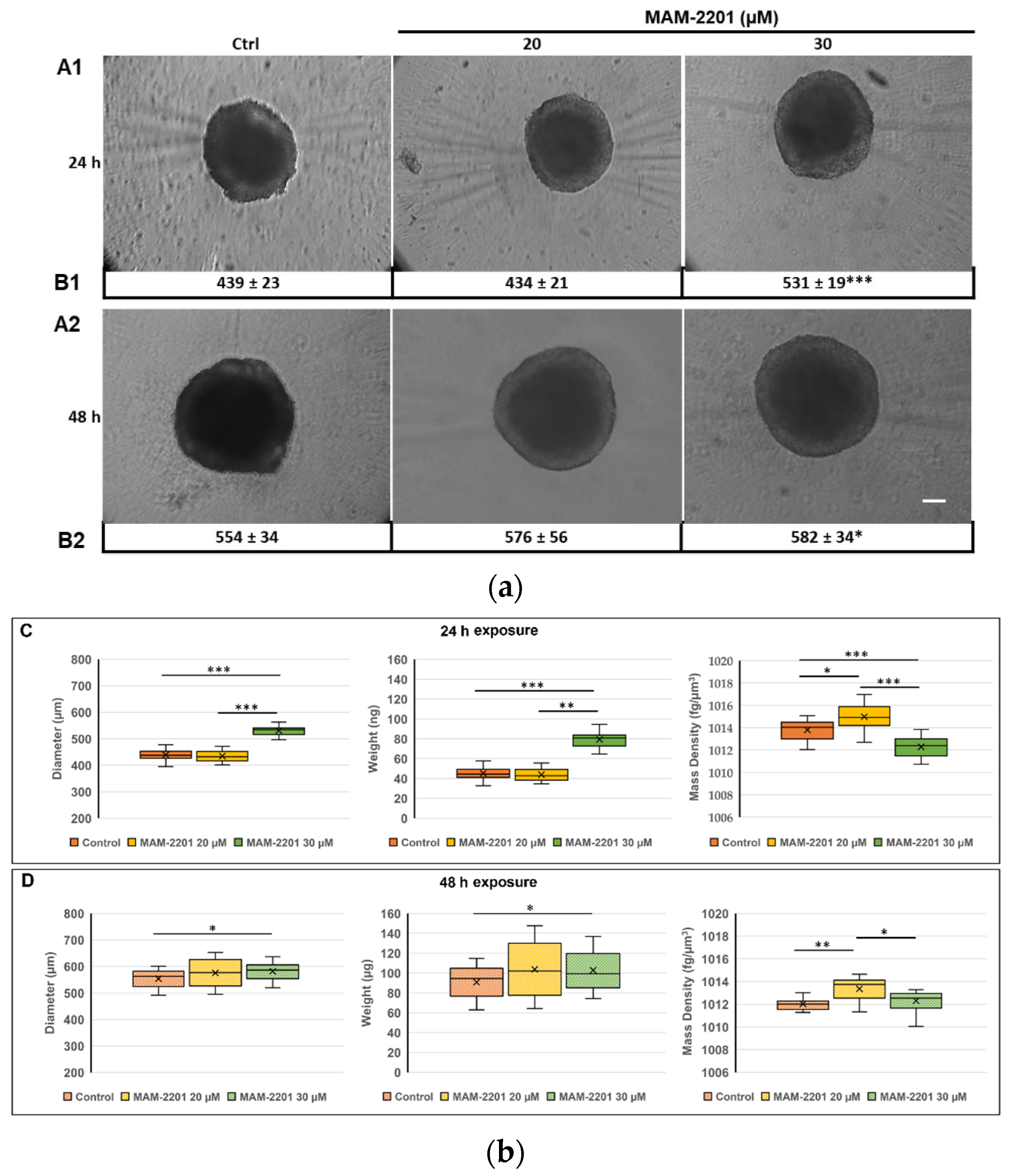 Ijms 24 01421 g002 Ijms 24 01421 g002