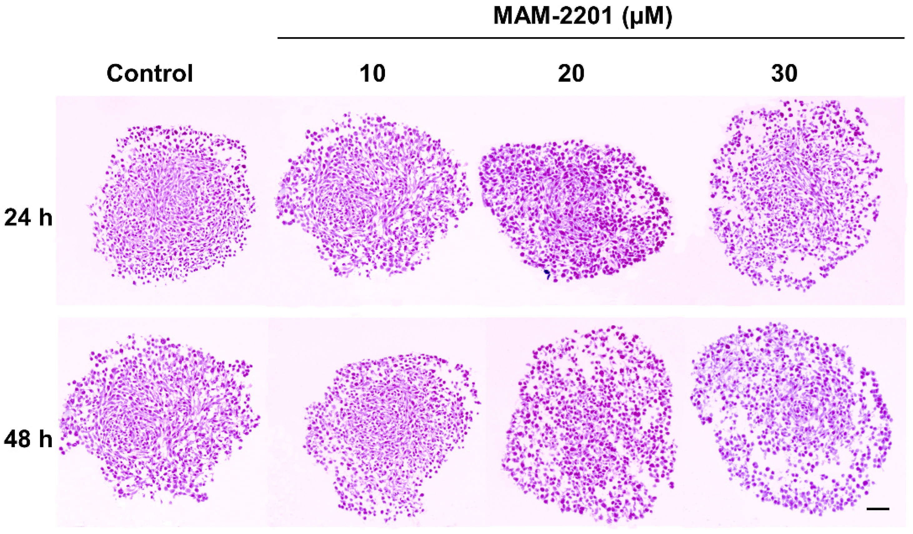 Ijms 24 01421 g003 Ijms 24 01421 g003