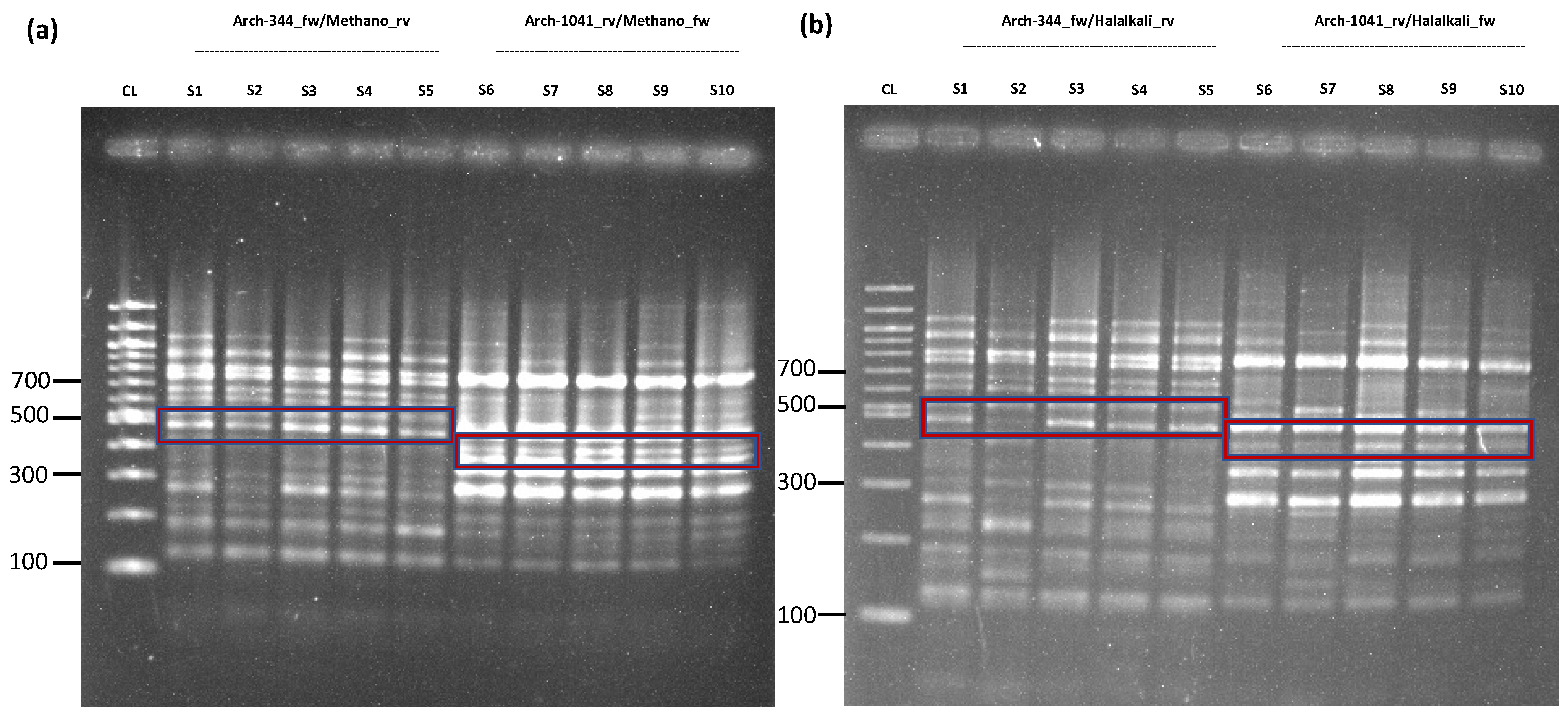 Ijms 24 01426 g001 Ijms 24 01426 g001