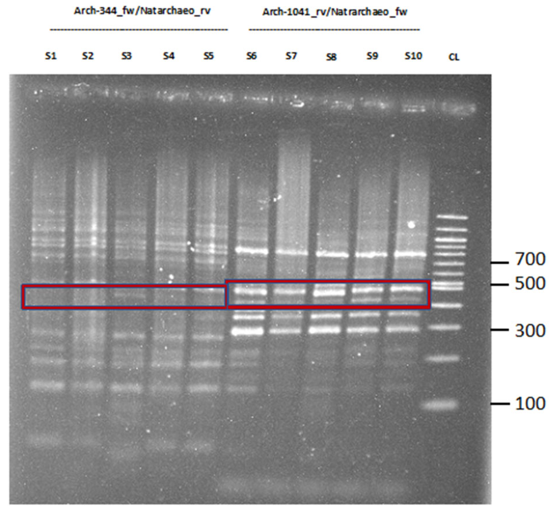 Ijms 24 01426 g002 Ijms 24 01426 g002