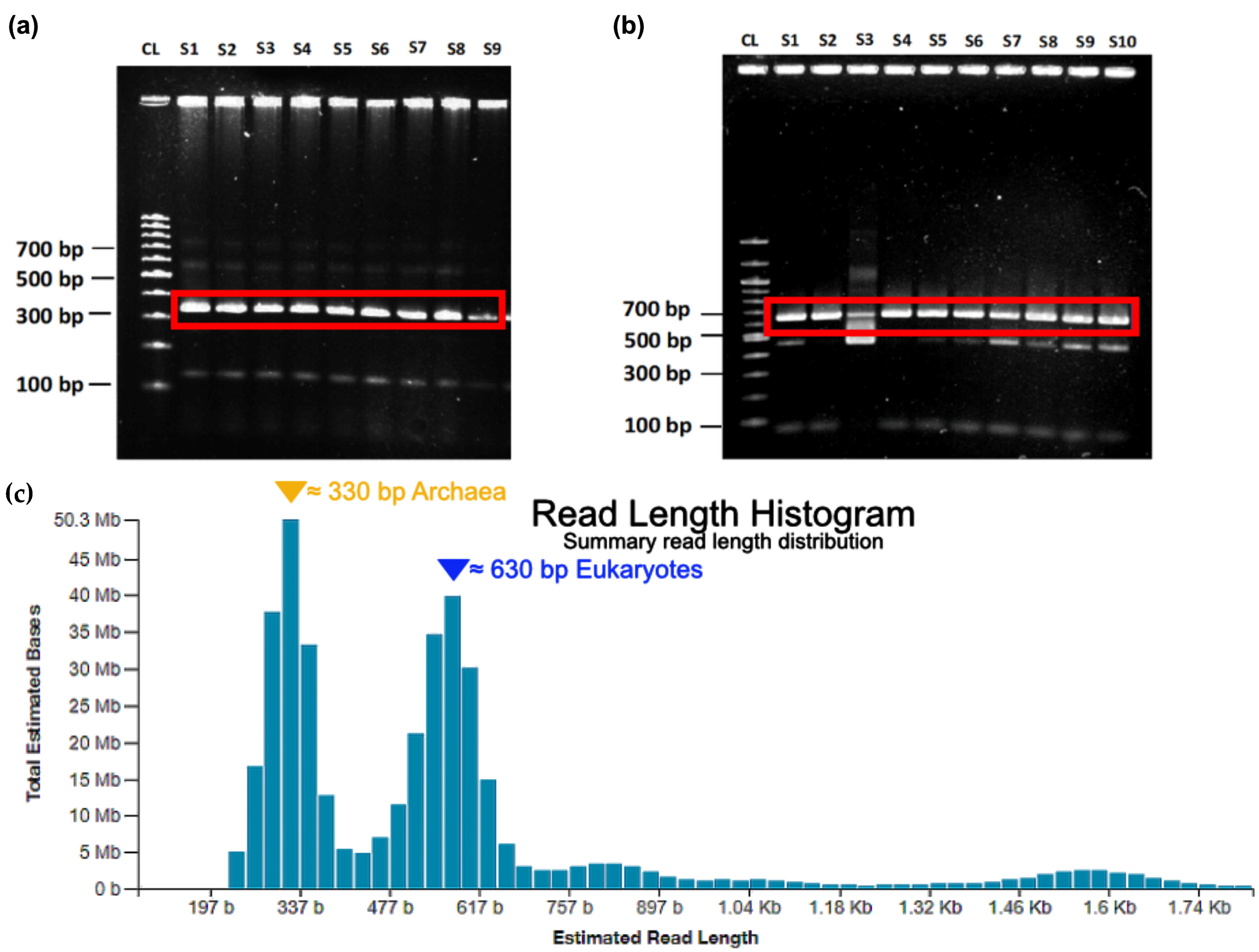 Ijms 24 01426 g004 Ijms 24 01426 g004