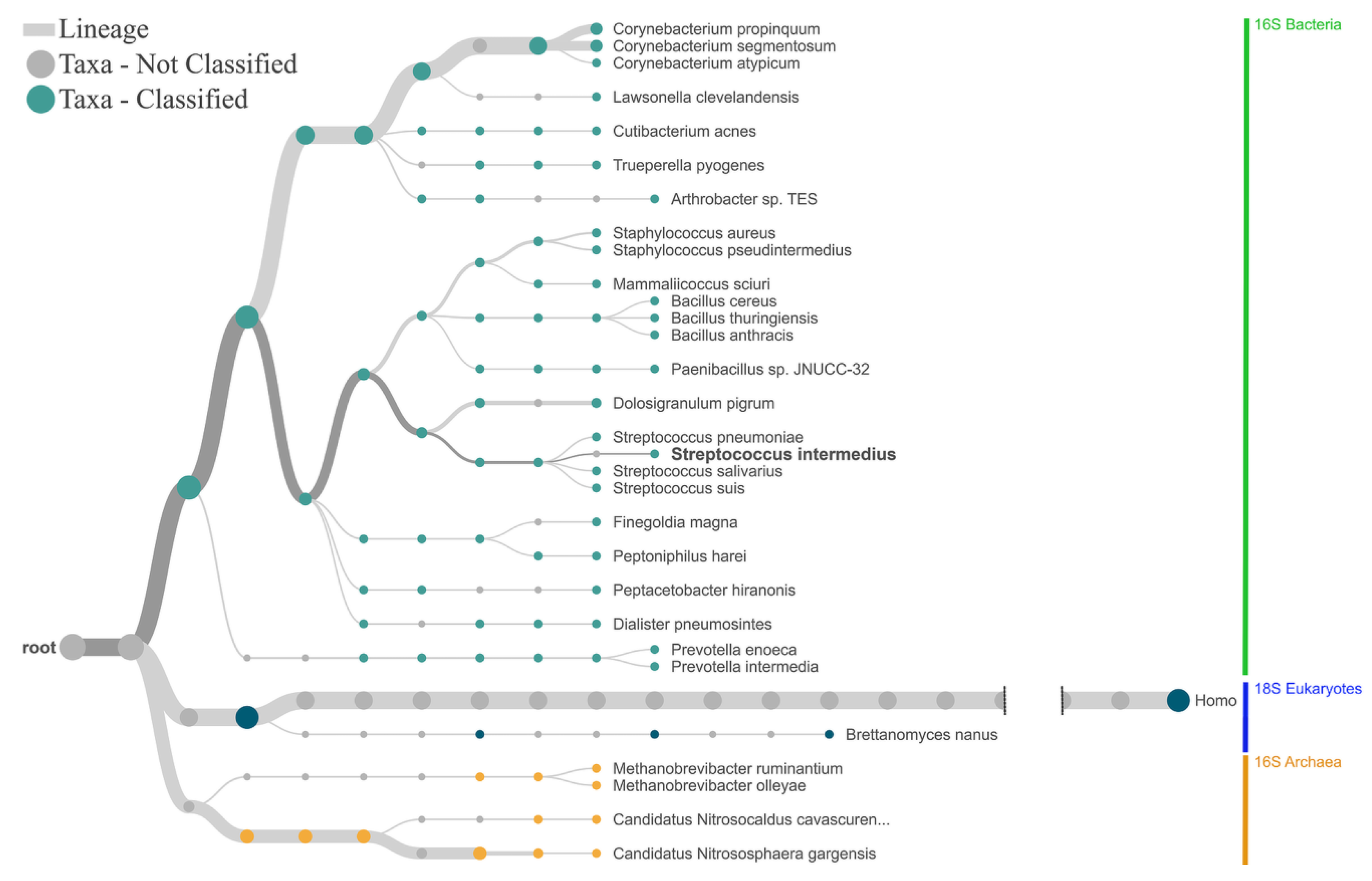 Ijms 24 01426 g005 Ijms 24 01426 g005