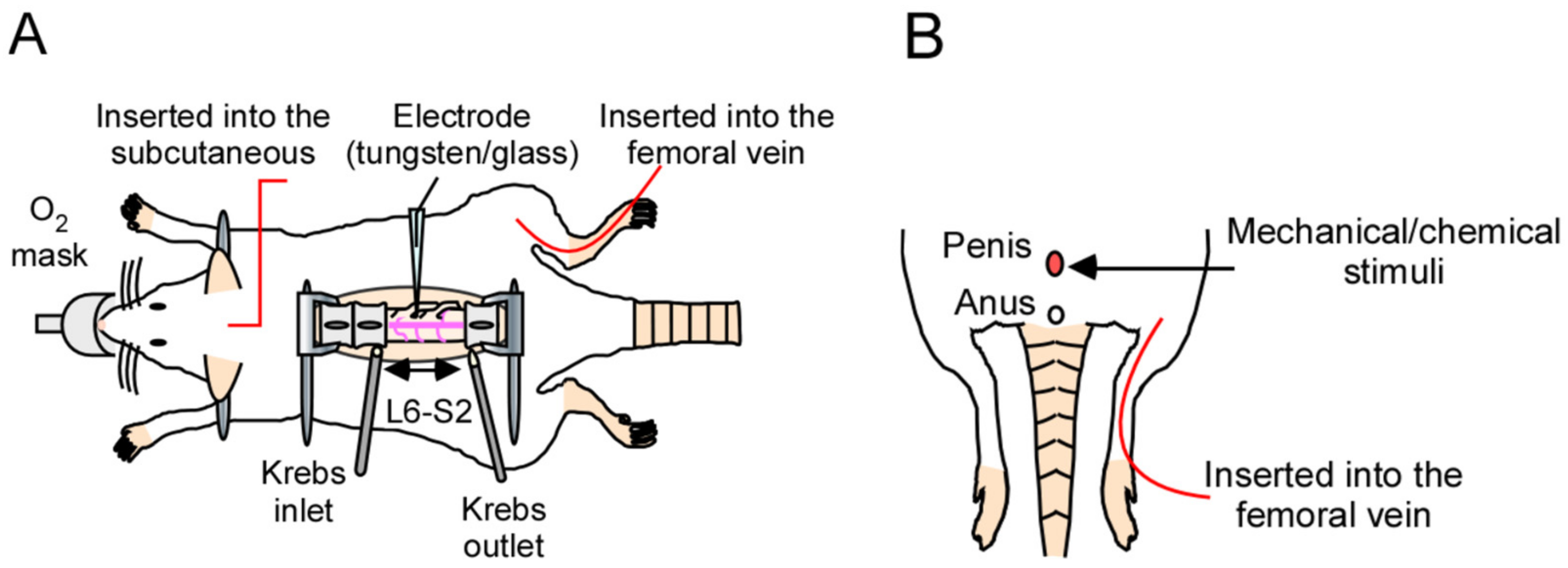 Ijms 24 01434 g001 Ijms 24 01434 g001