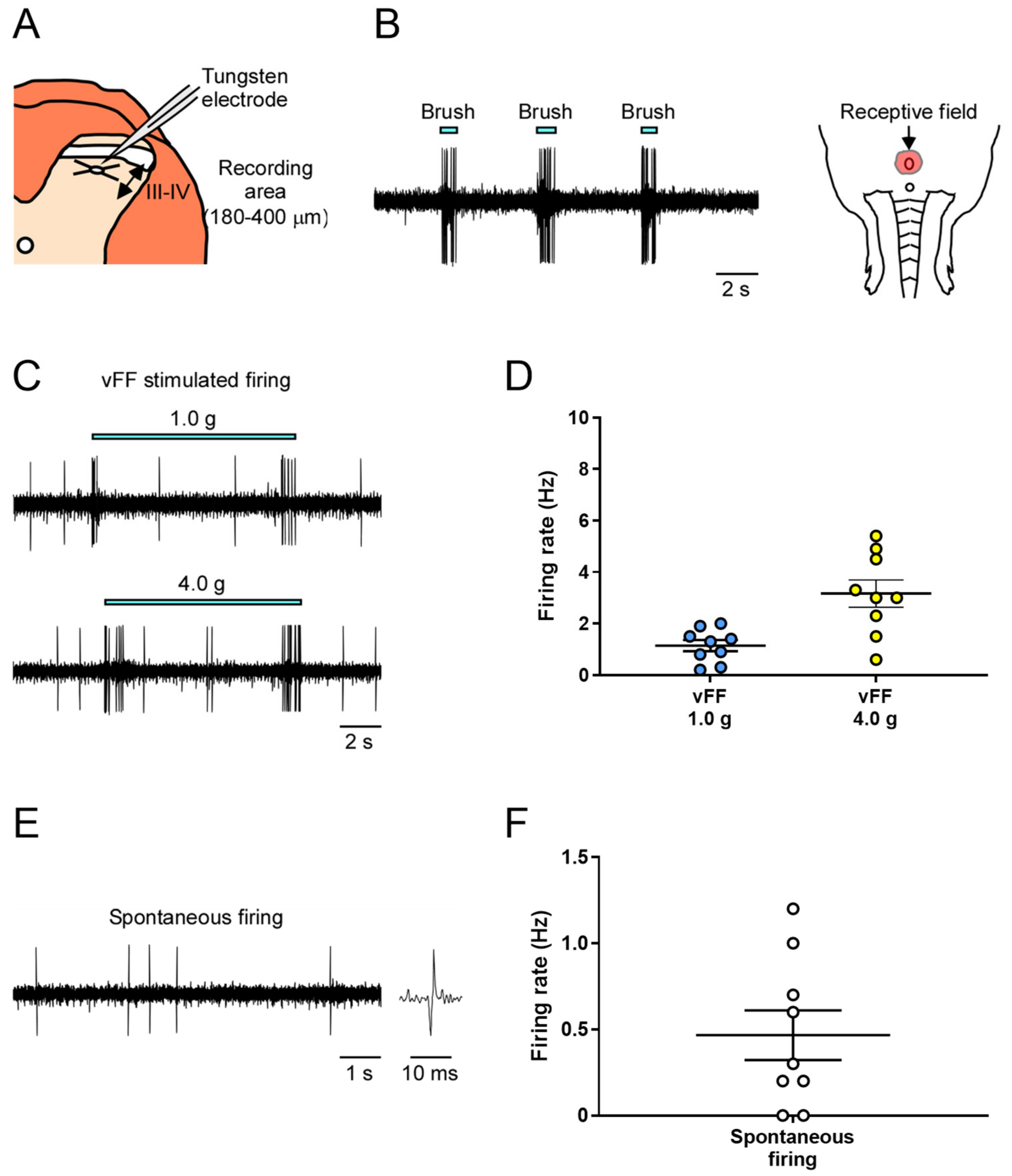 Ijms 24 01434 g002 Ijms 24 01434 g002