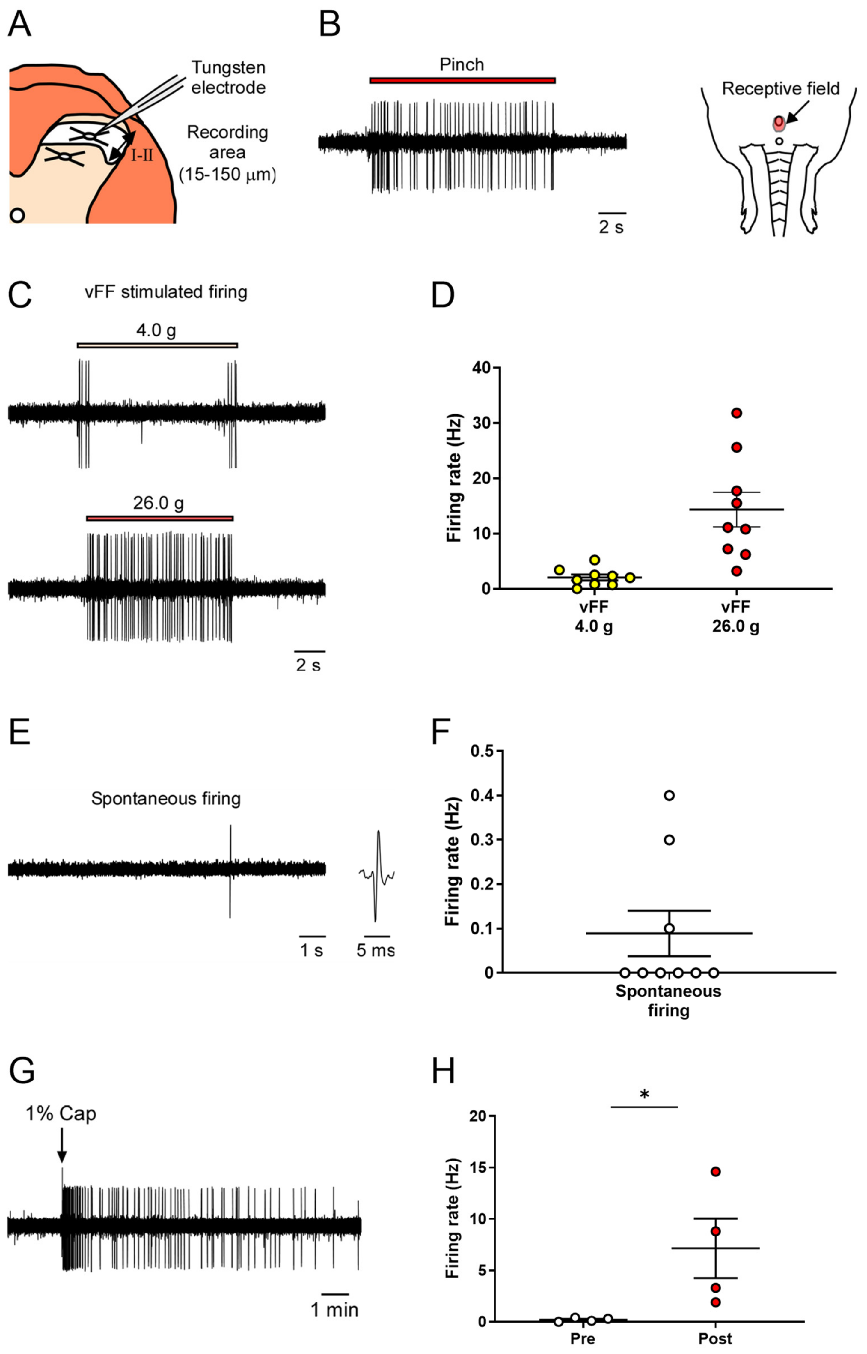 Ijms 24 01434 g003 Ijms 24 01434 g003