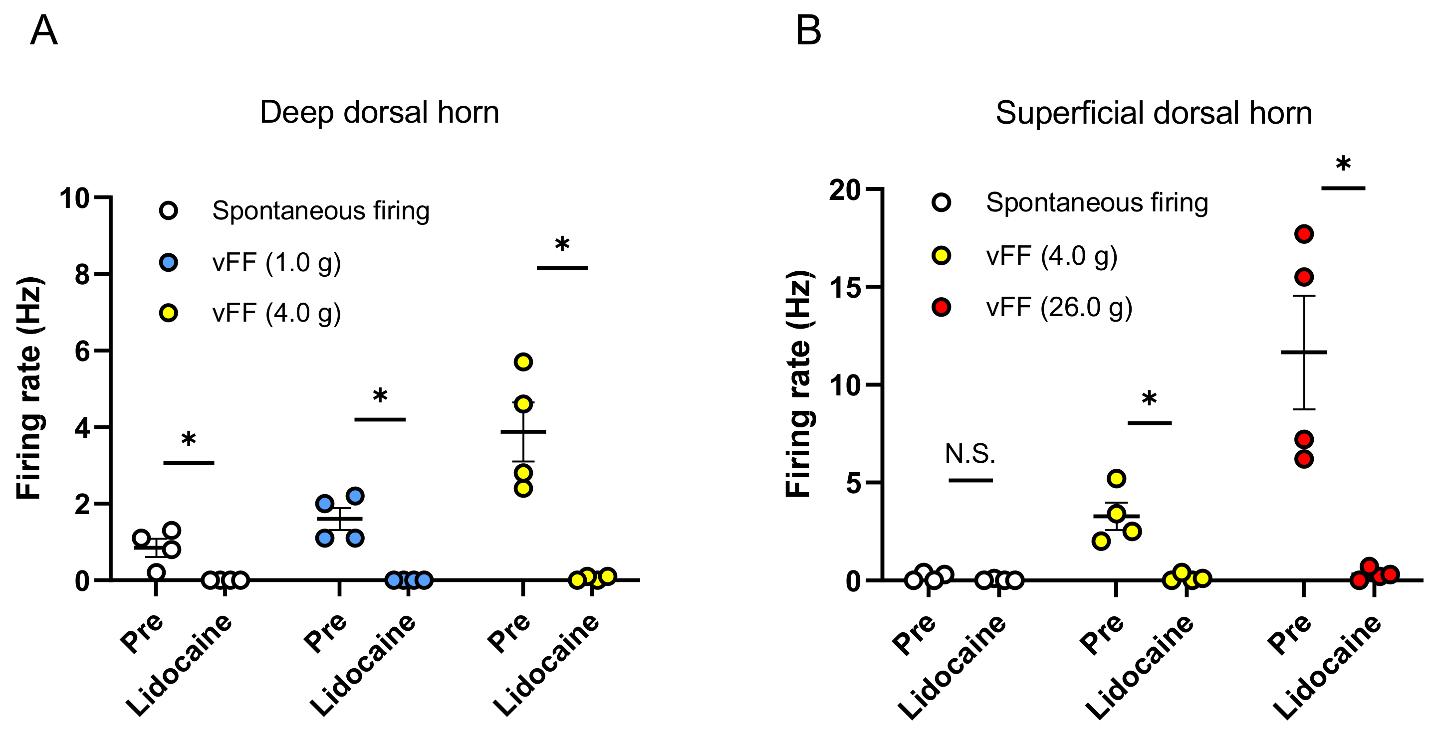 Ijms 24 01434 g004 Ijms 24 01434 g004
