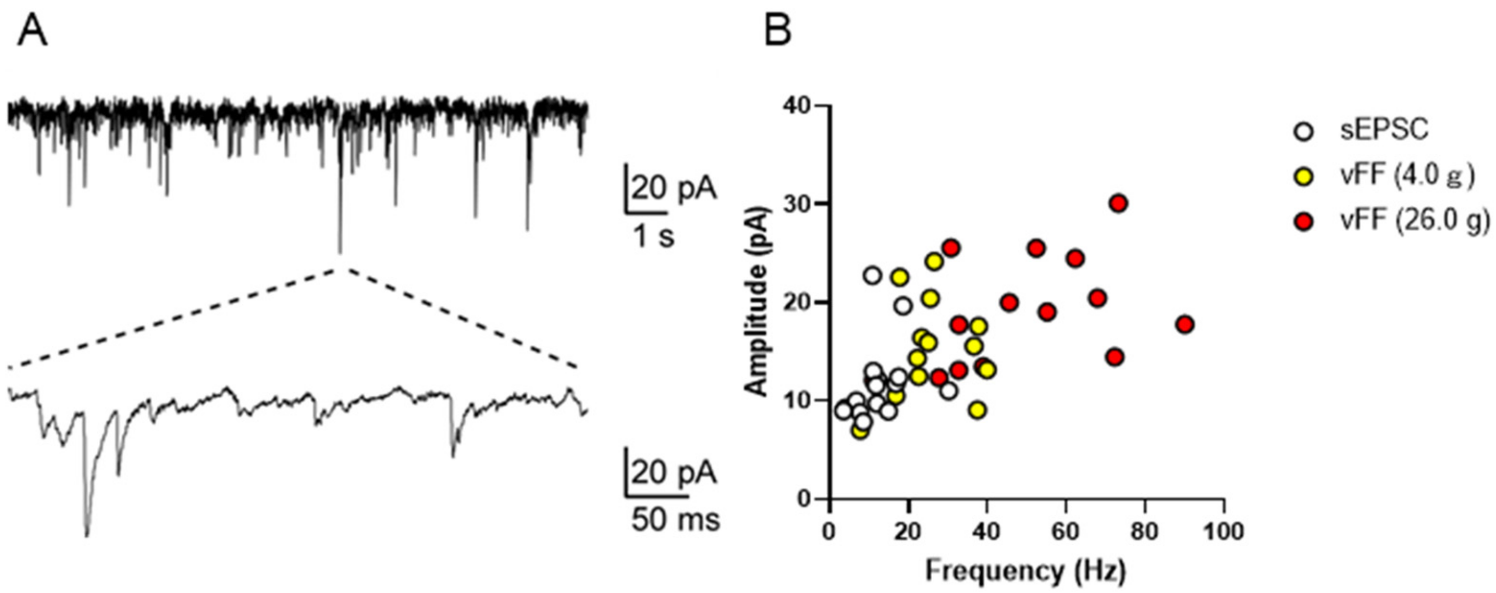 Ijms 24 01434 g005 Ijms 24 01434 g005