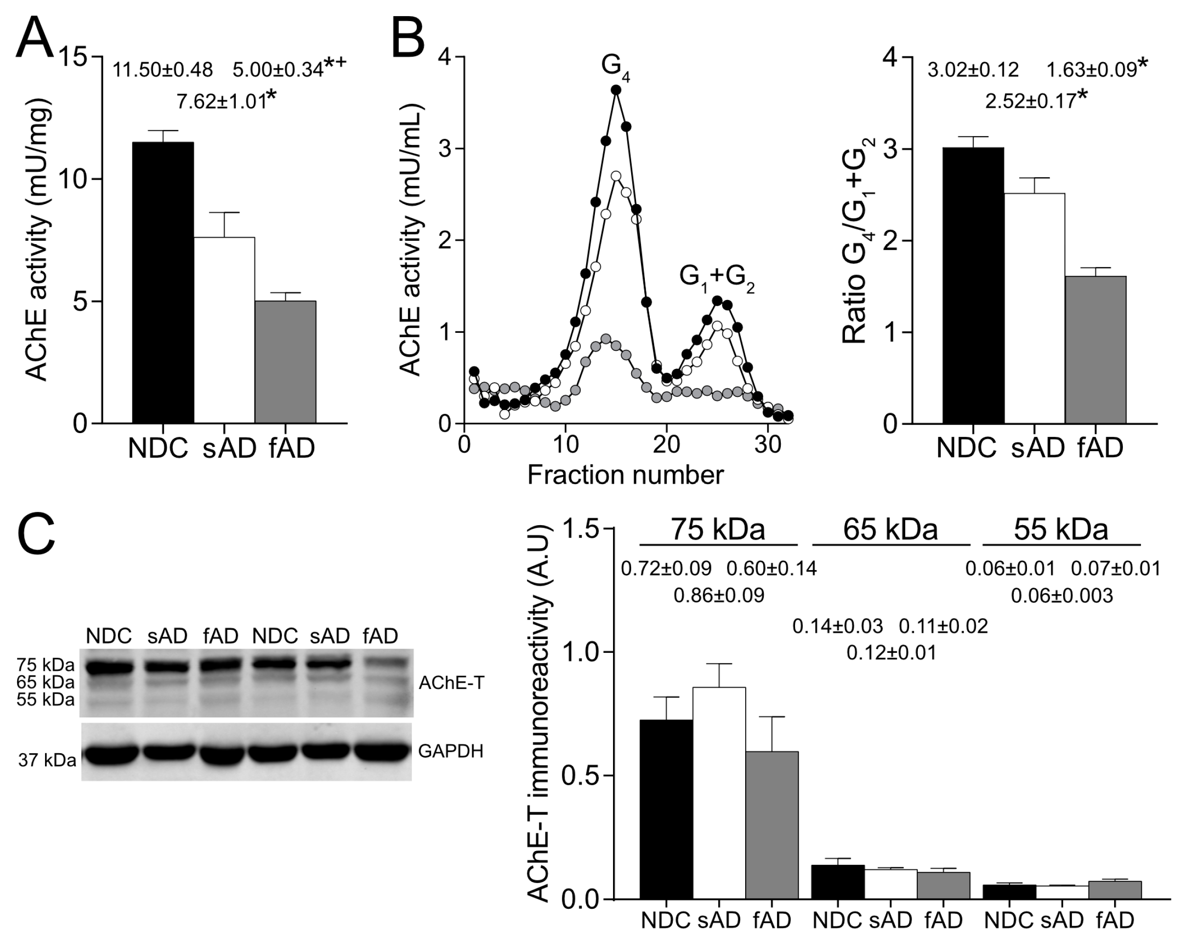 Ijms 24 01437 g001 Ijms 24 01437 g001