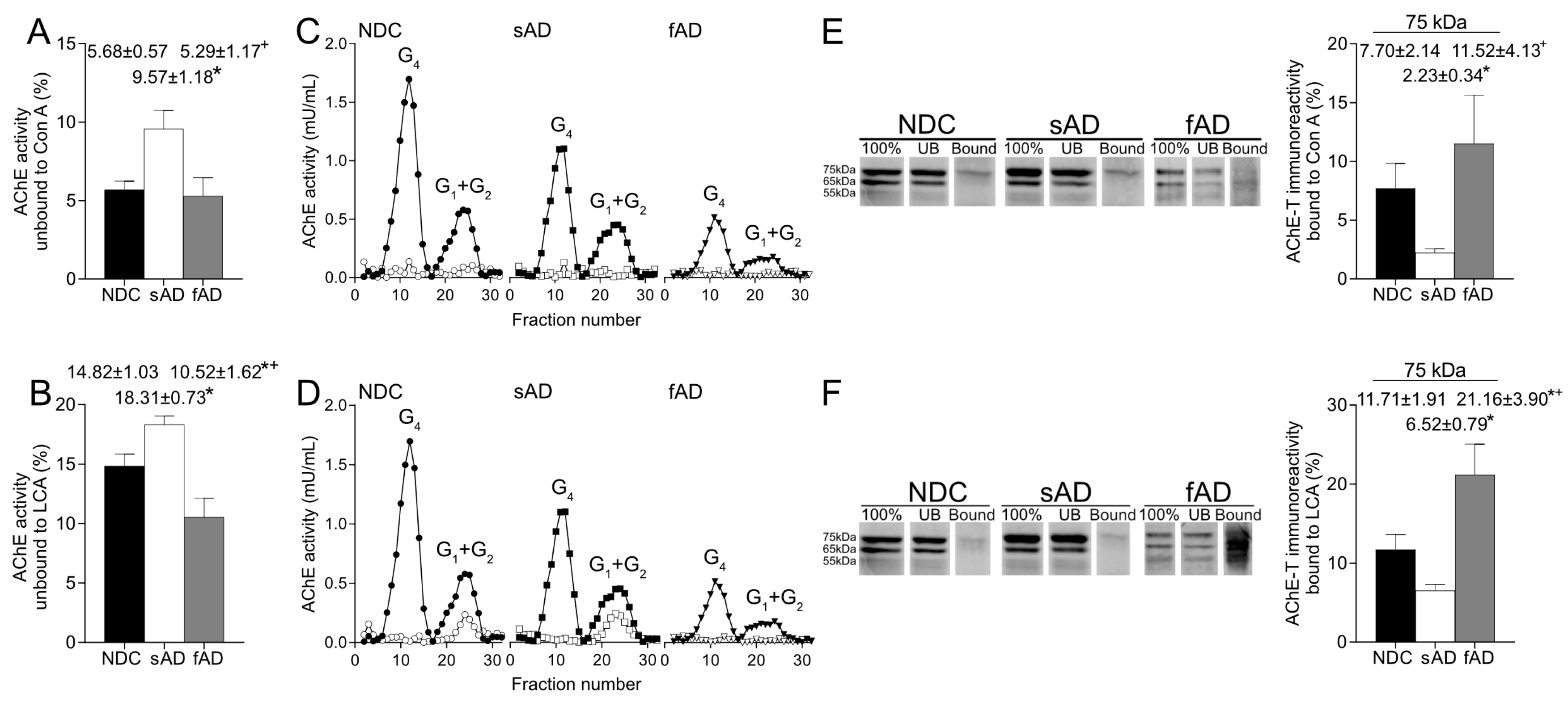 Ijms 24 01437 g002 Ijms 24 01437 g002