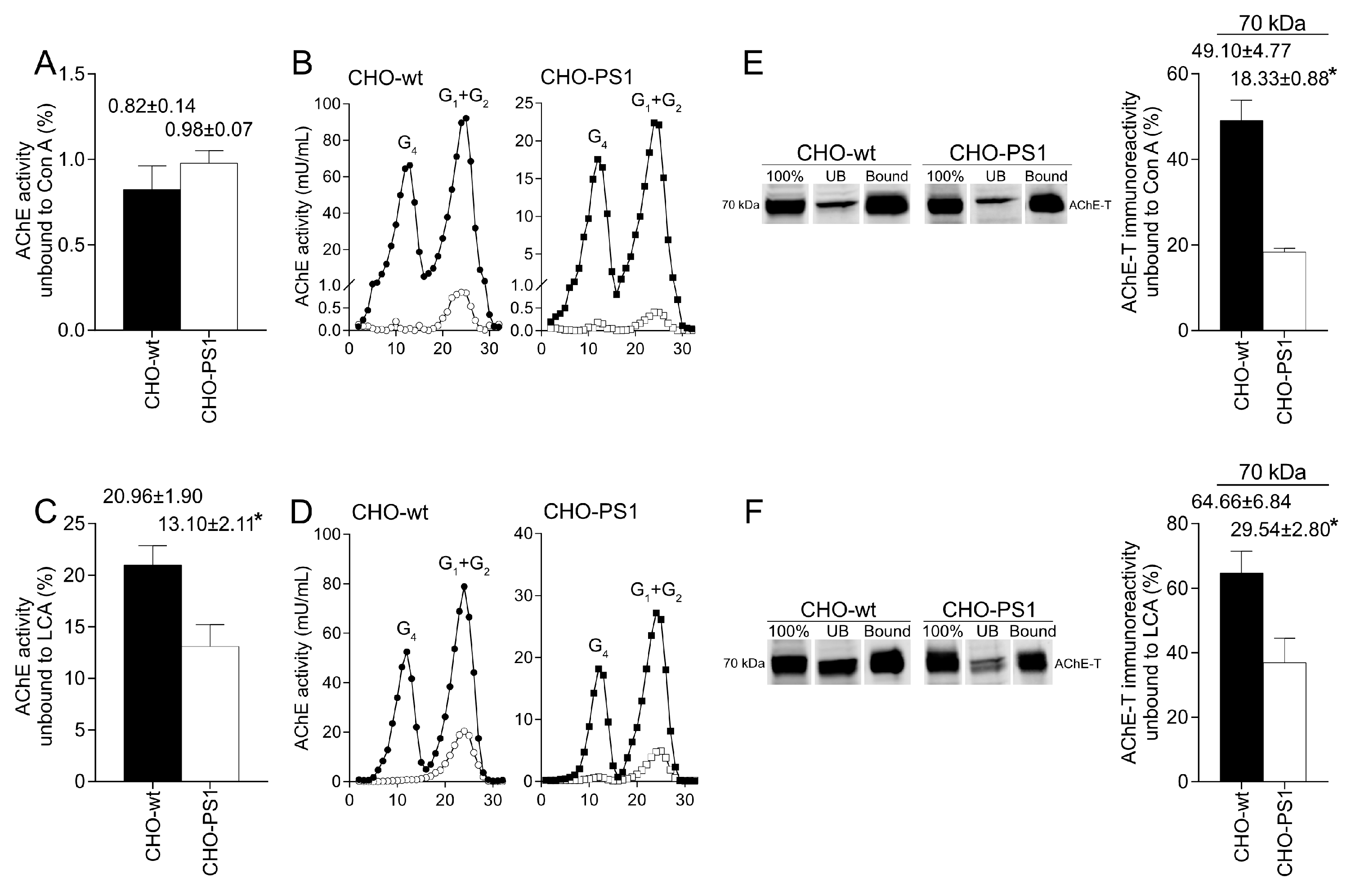 Ijms 24 01437 g003 Ijms 24 01437 g003