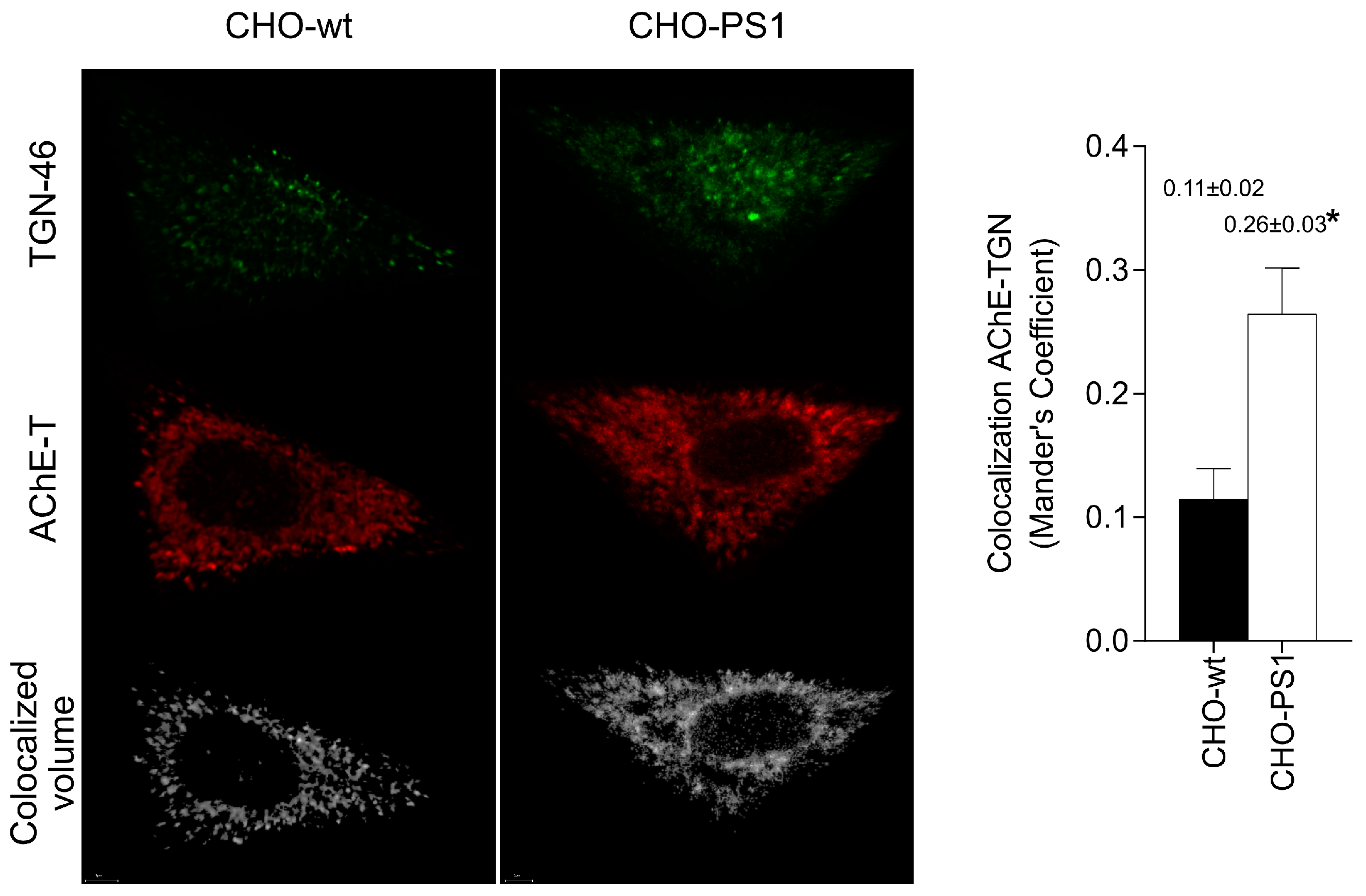 Ijms 24 01437 g004 Ijms 24 01437 g004