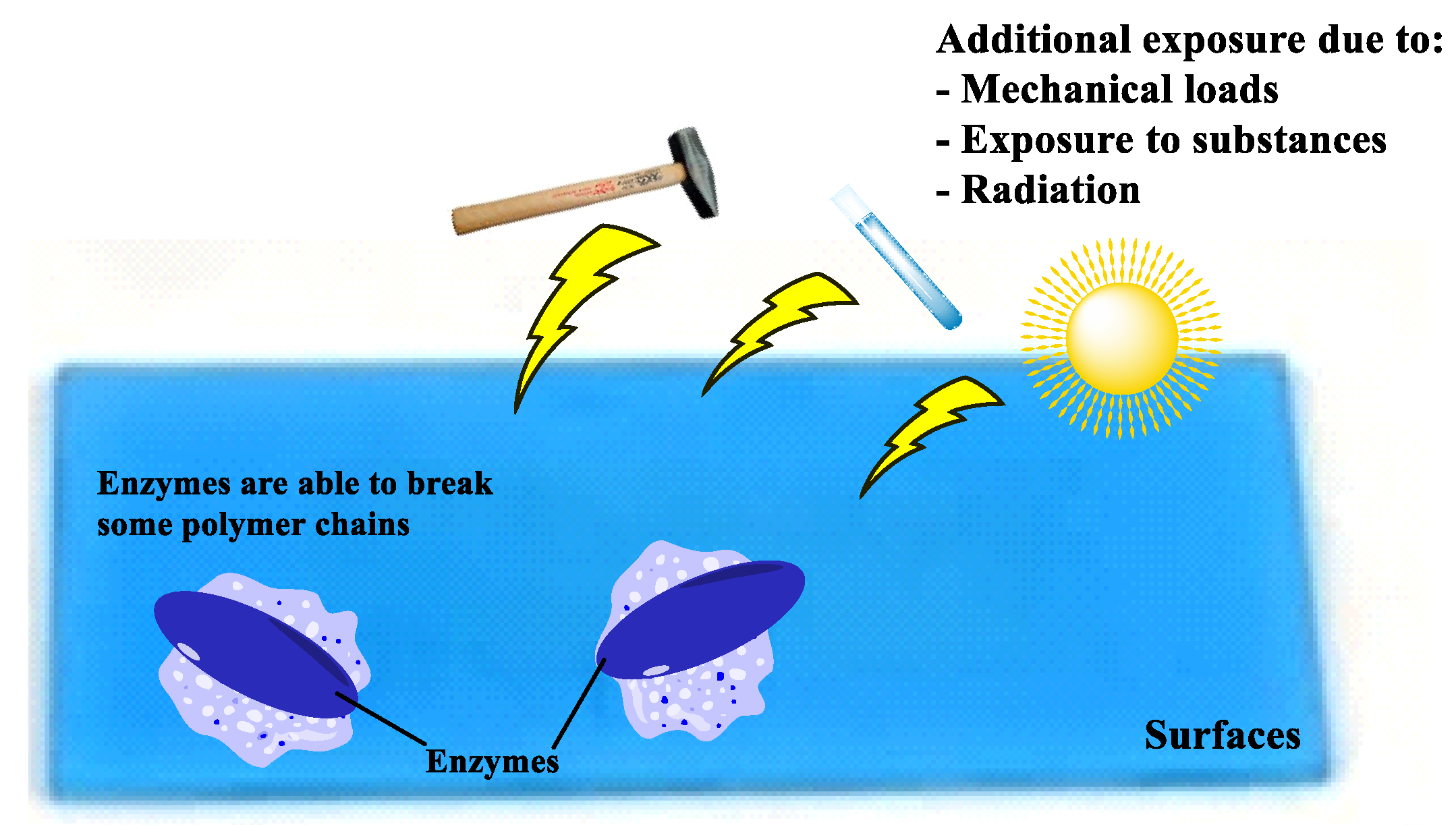 Ijms 24 01473 g001 Ijms 24 01473 g001