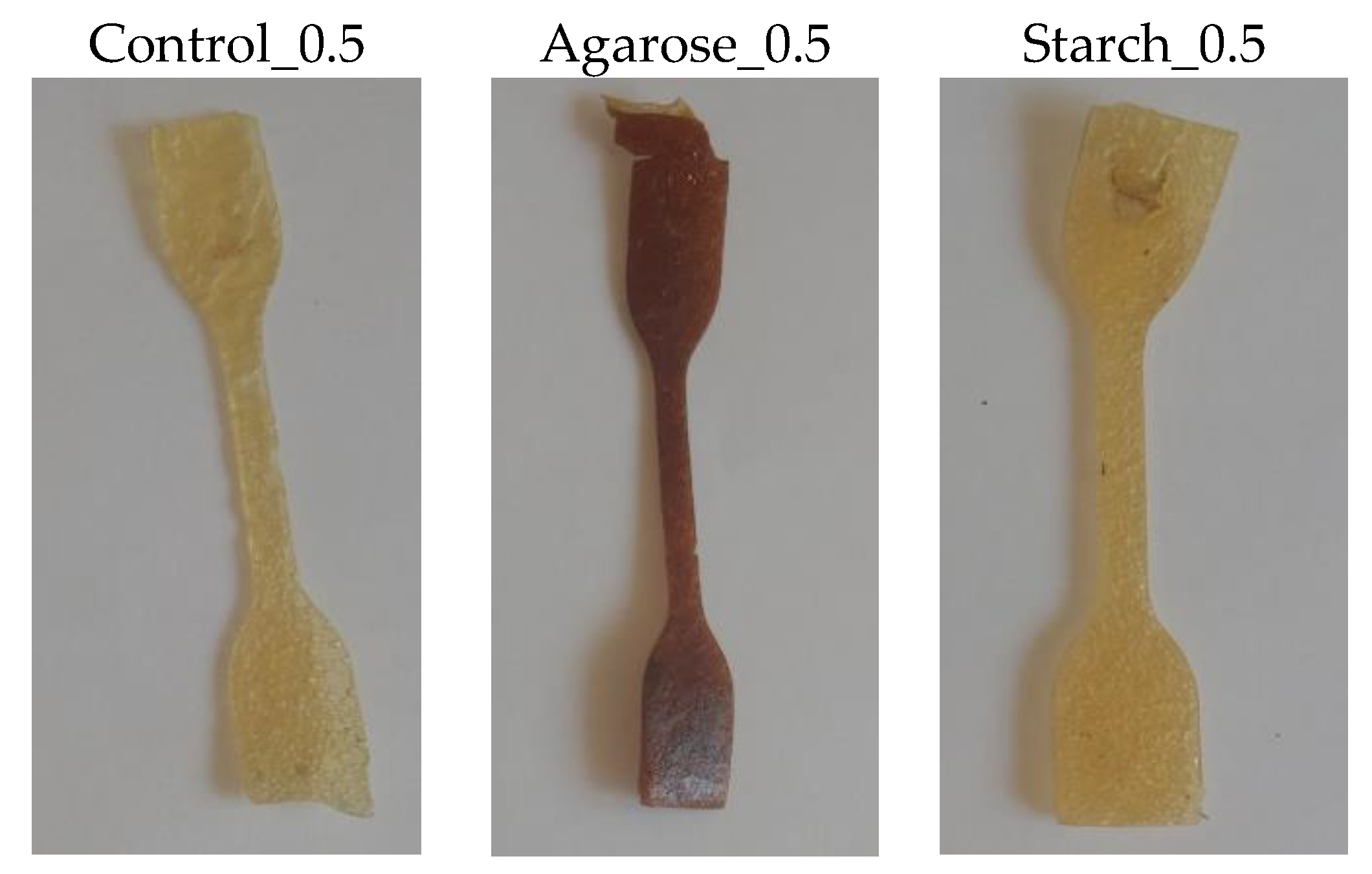 Ijms 24 01473 g009 Ijms 24 01473 g009