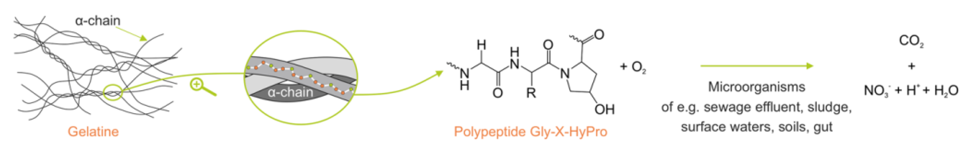 Ijms 24 01473 g011 Ijms 24 01473 g011