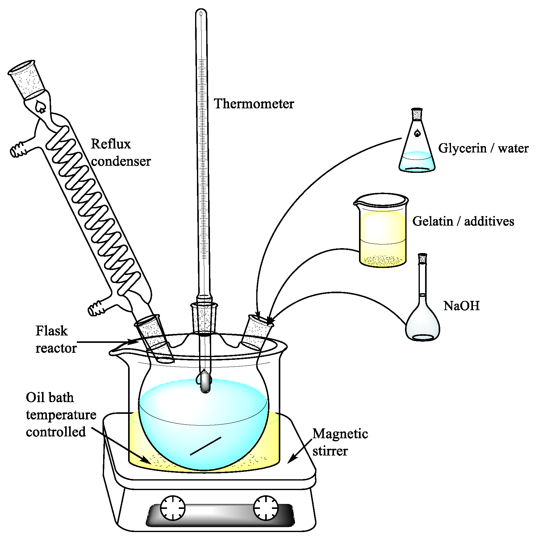 Ijms 24 01473 g013 Ijms 24 01473 g013