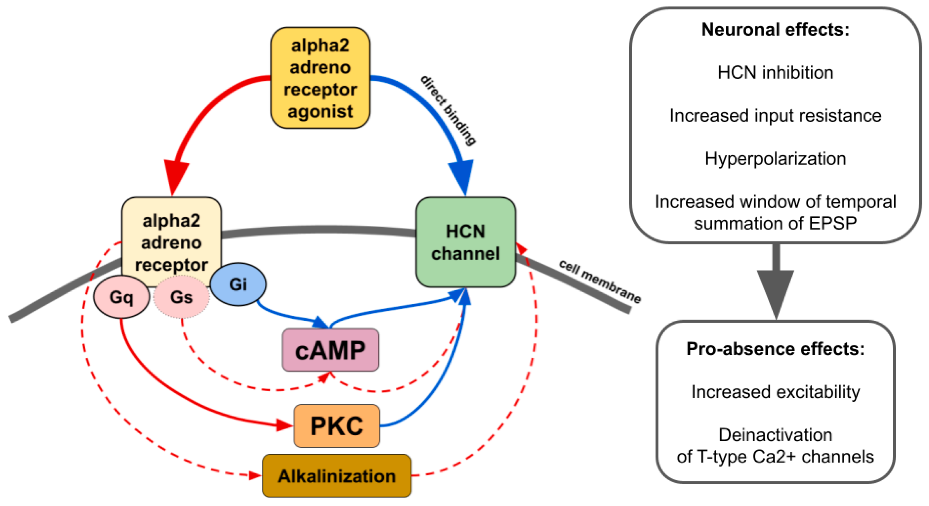 Ijms 24 01477 g004 Ijms 24 01477 g004