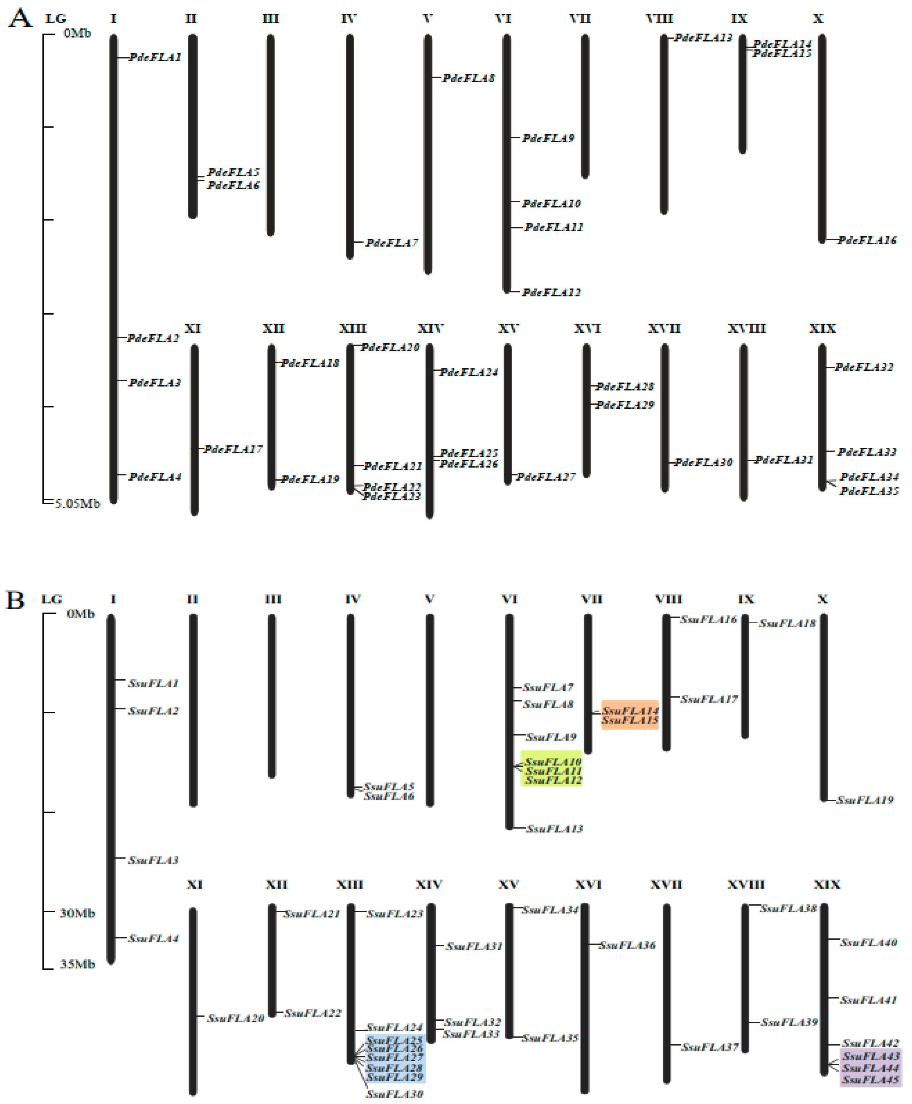 Ijms 24 01481 g001 Ijms 24 01481 g001