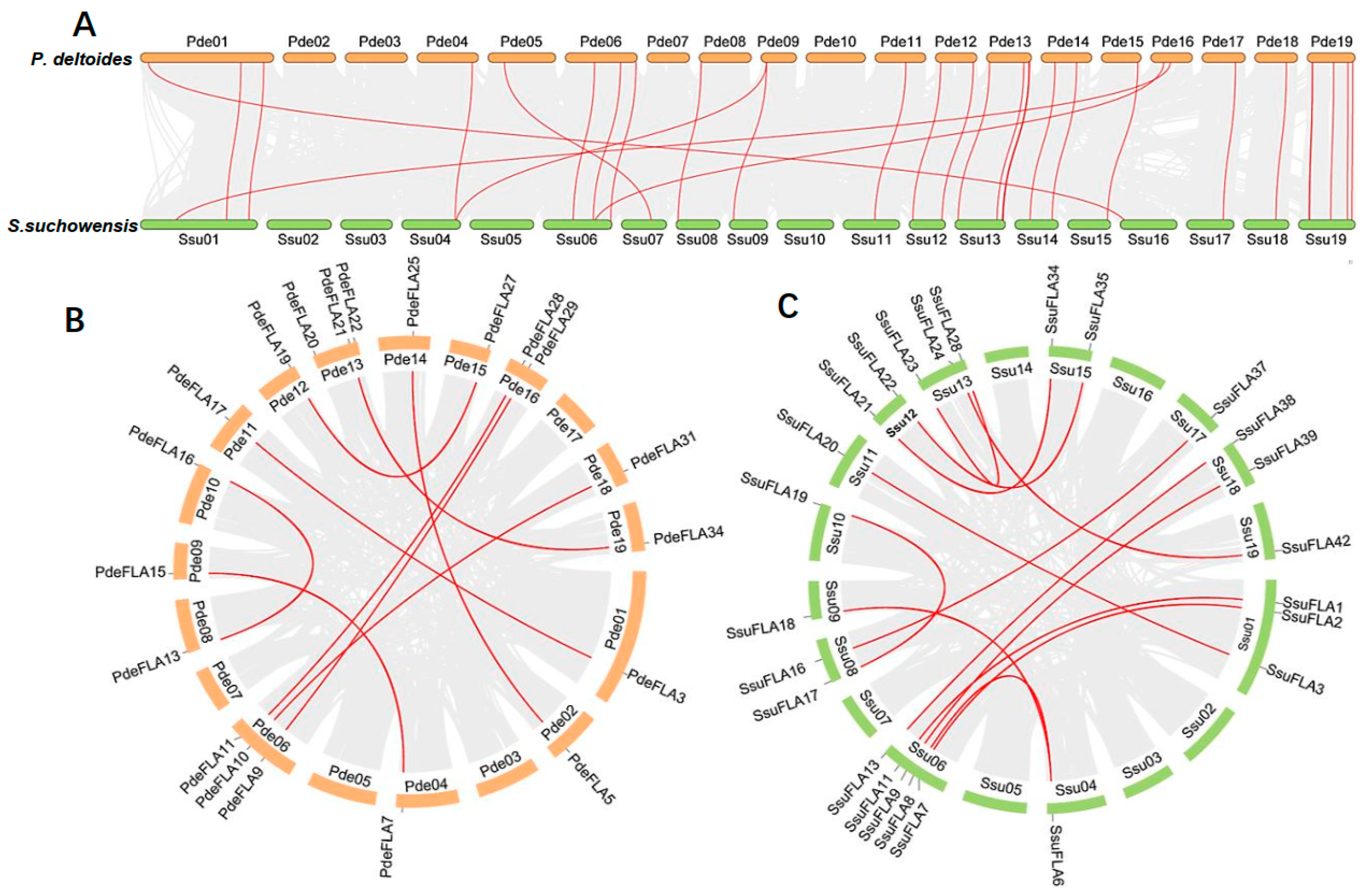 Ijms 24 01481 g002 Ijms 24 01481 g002