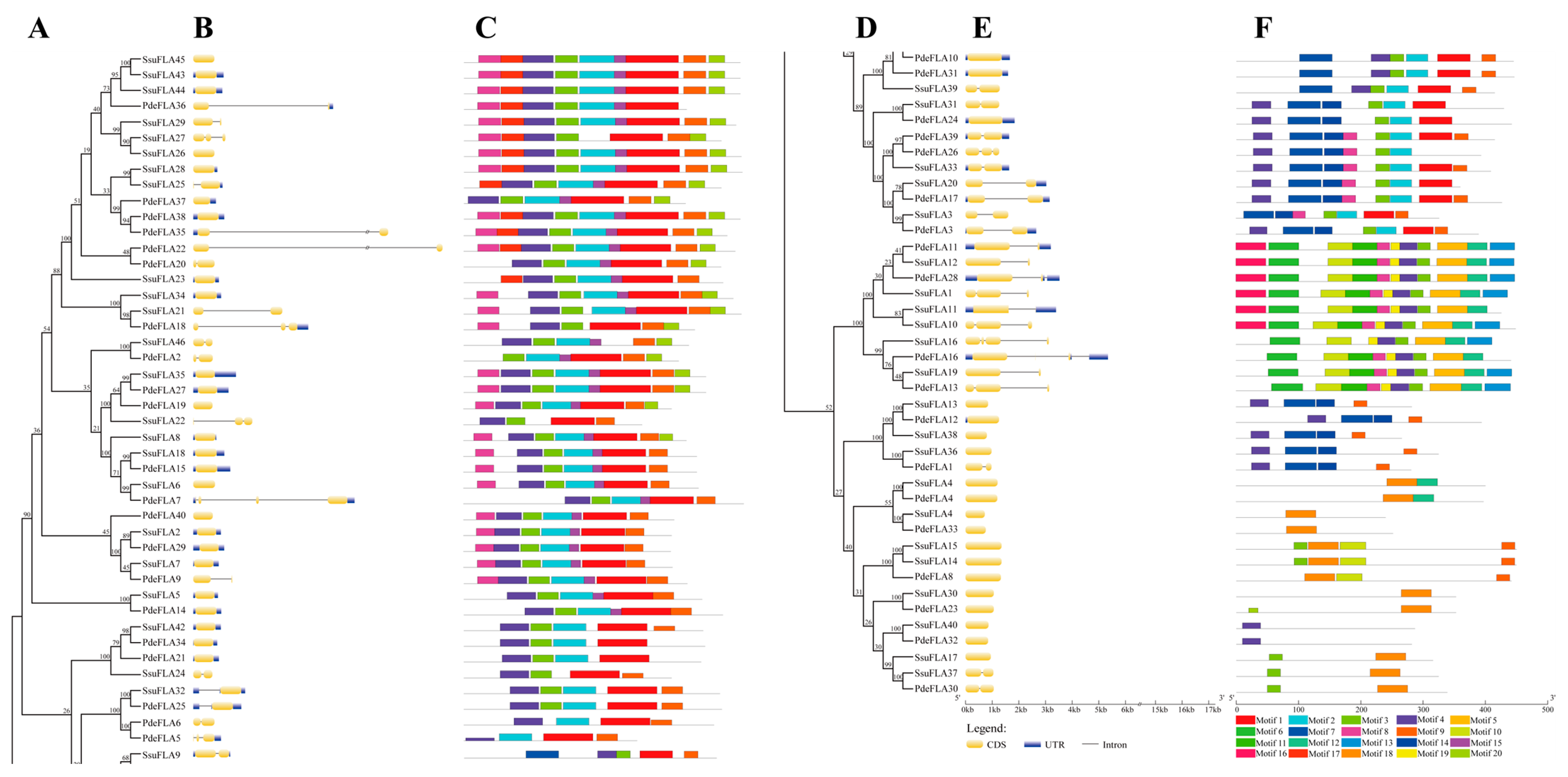 Ijms 24 01481 g003 Ijms 24 01481 g003