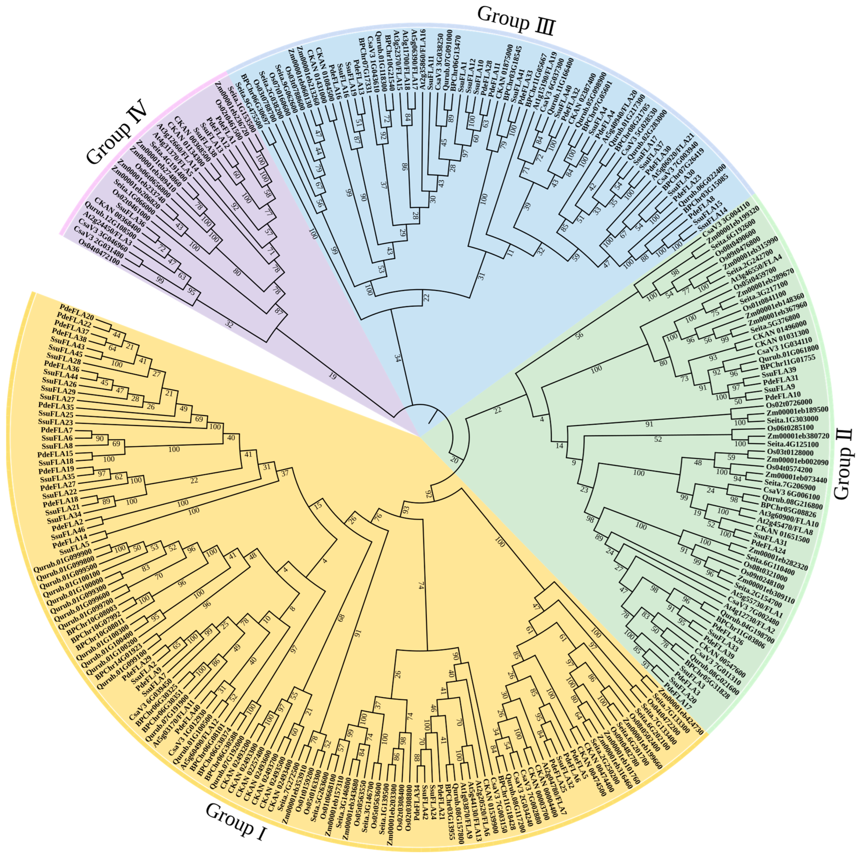 Ijms 24 01481 g004 Ijms 24 01481 g004