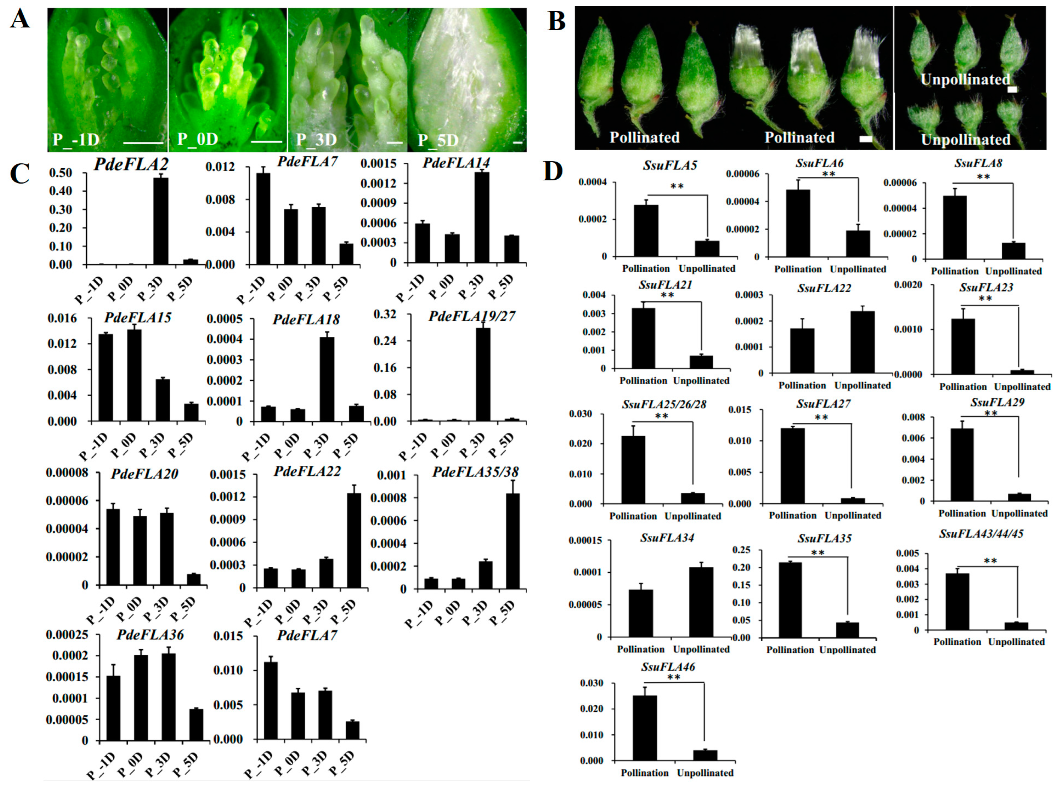 Ijms 24 01481 g006 Ijms 24 01481 g006