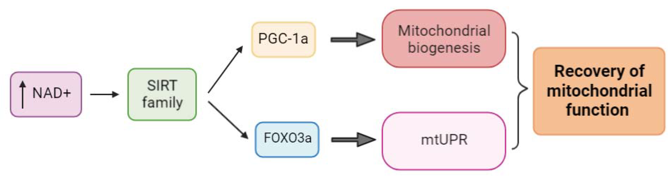 Ijms 24 01482 g004 Ijms 24 01482 g004