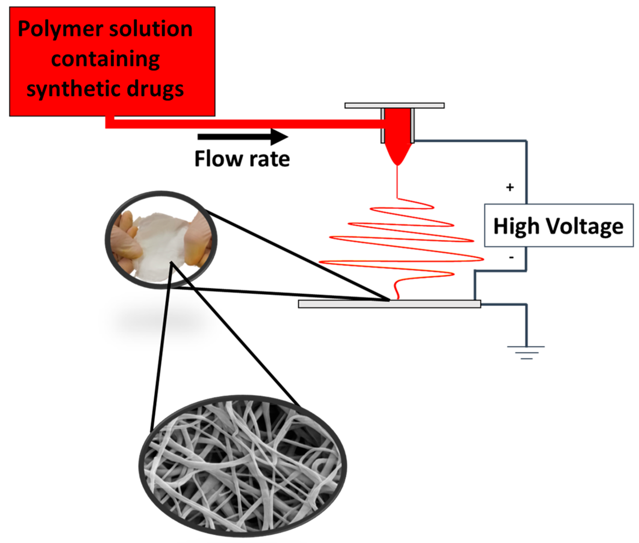 Ijms 24 01507 g009 Ijms 24 01507 g009