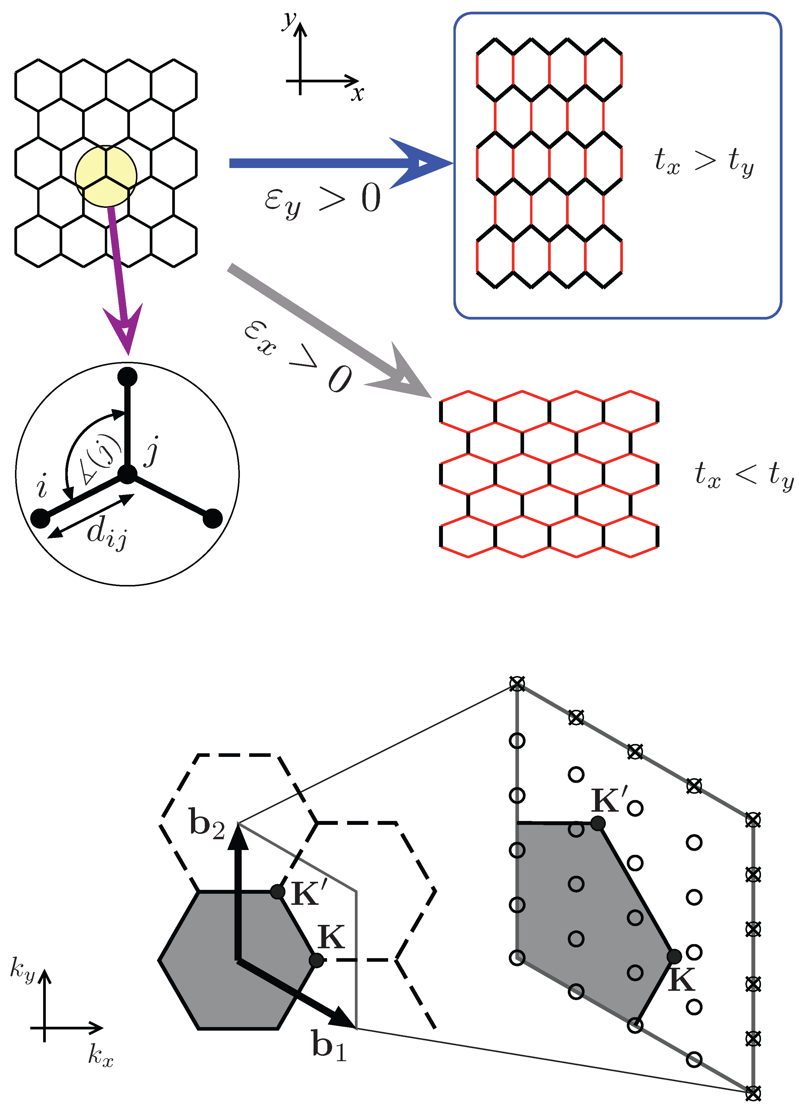 Ijms 24 01509 g001 Ijms 24 01509 g001