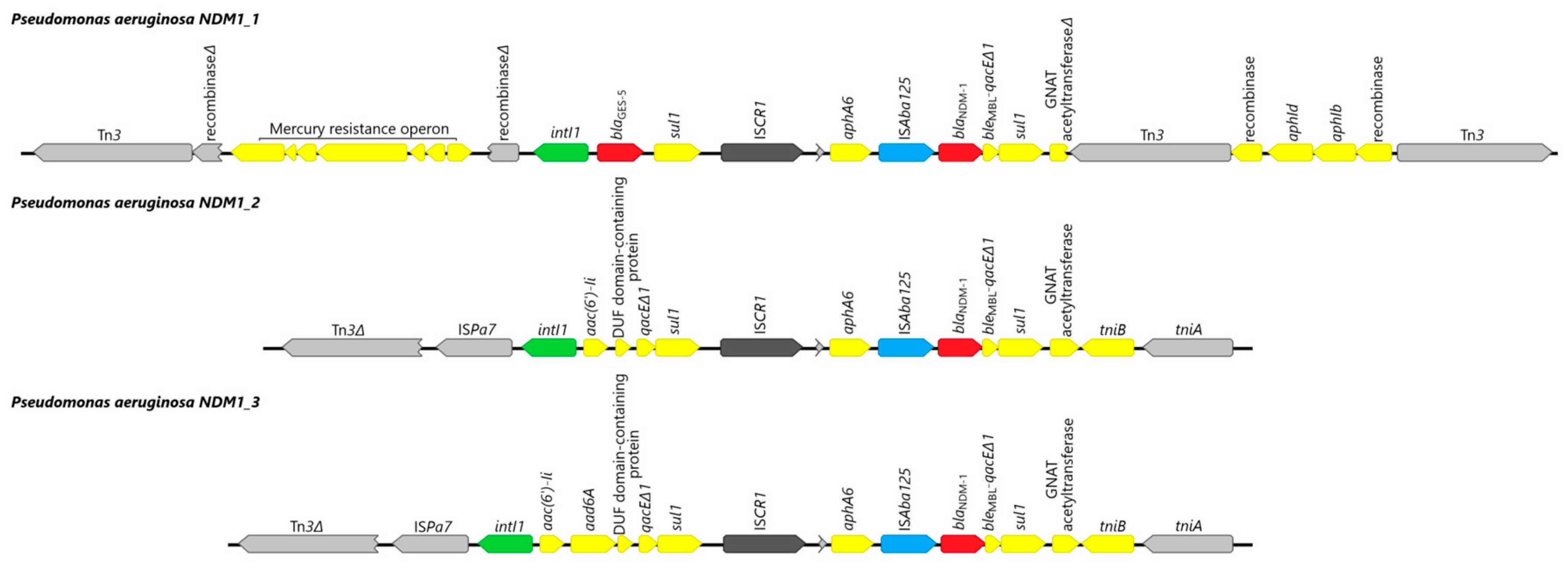 Ijms 24 01519 g005 Ijms 24 01519 g005