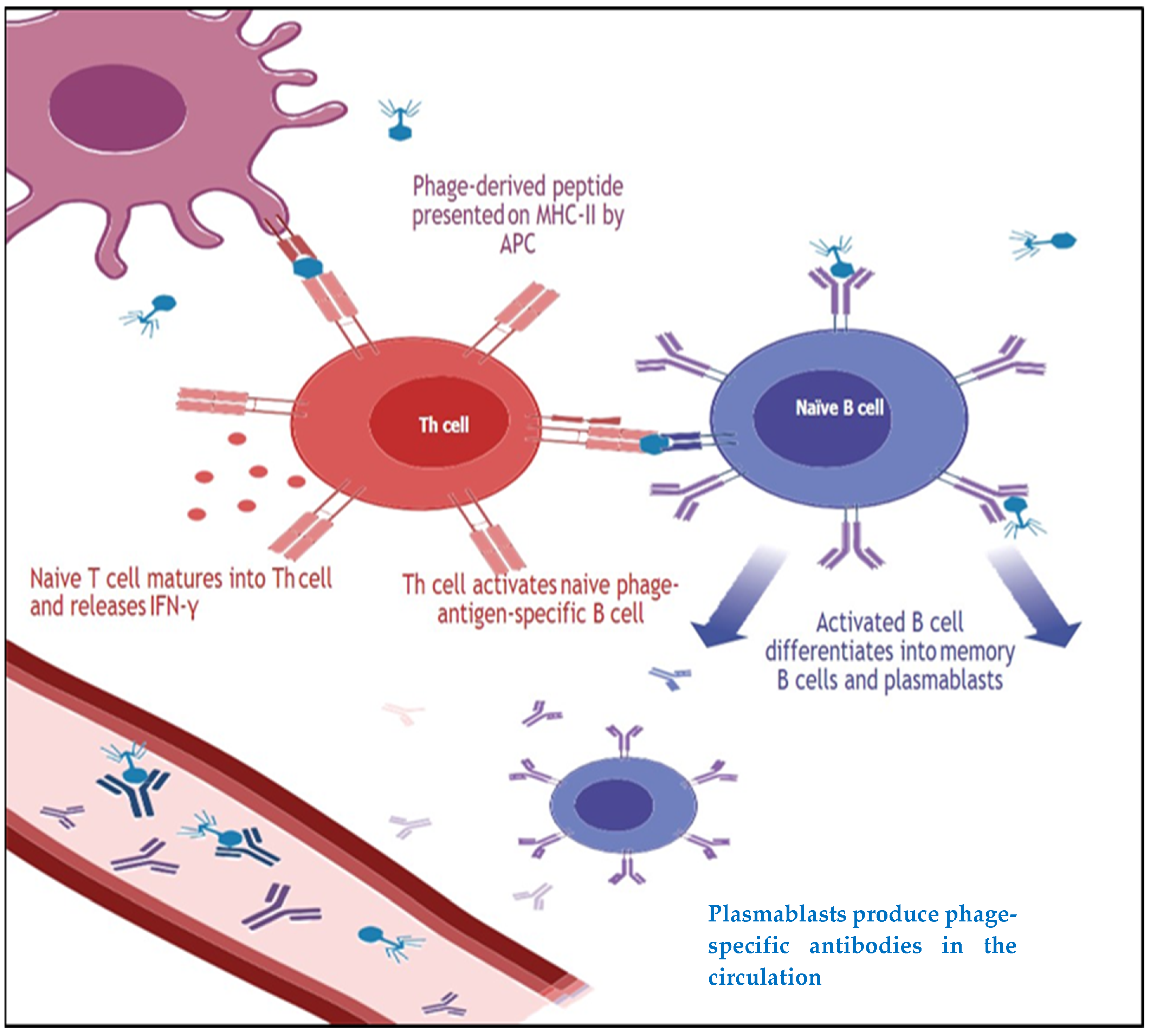 Ijms 24 01536 g002 Ijms 24 01536 g002
