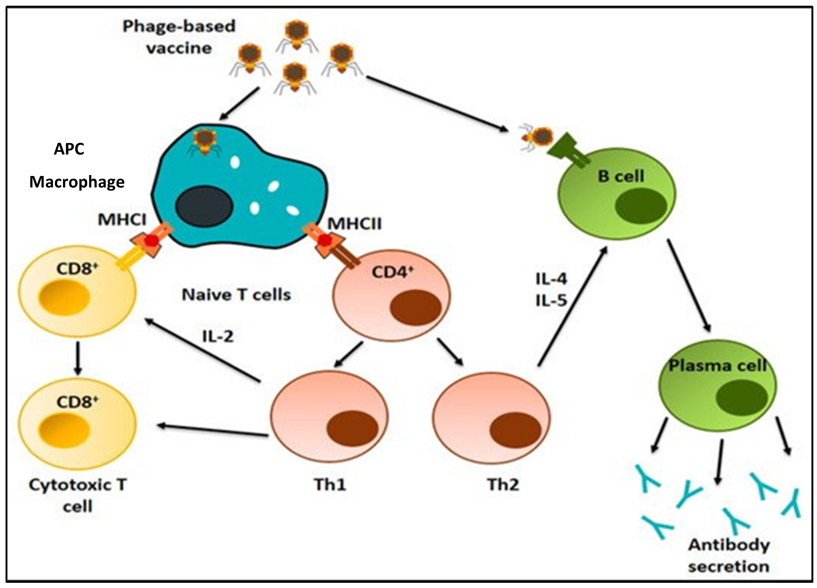 Ijms 24 01536 g003 Ijms 24 01536 g003