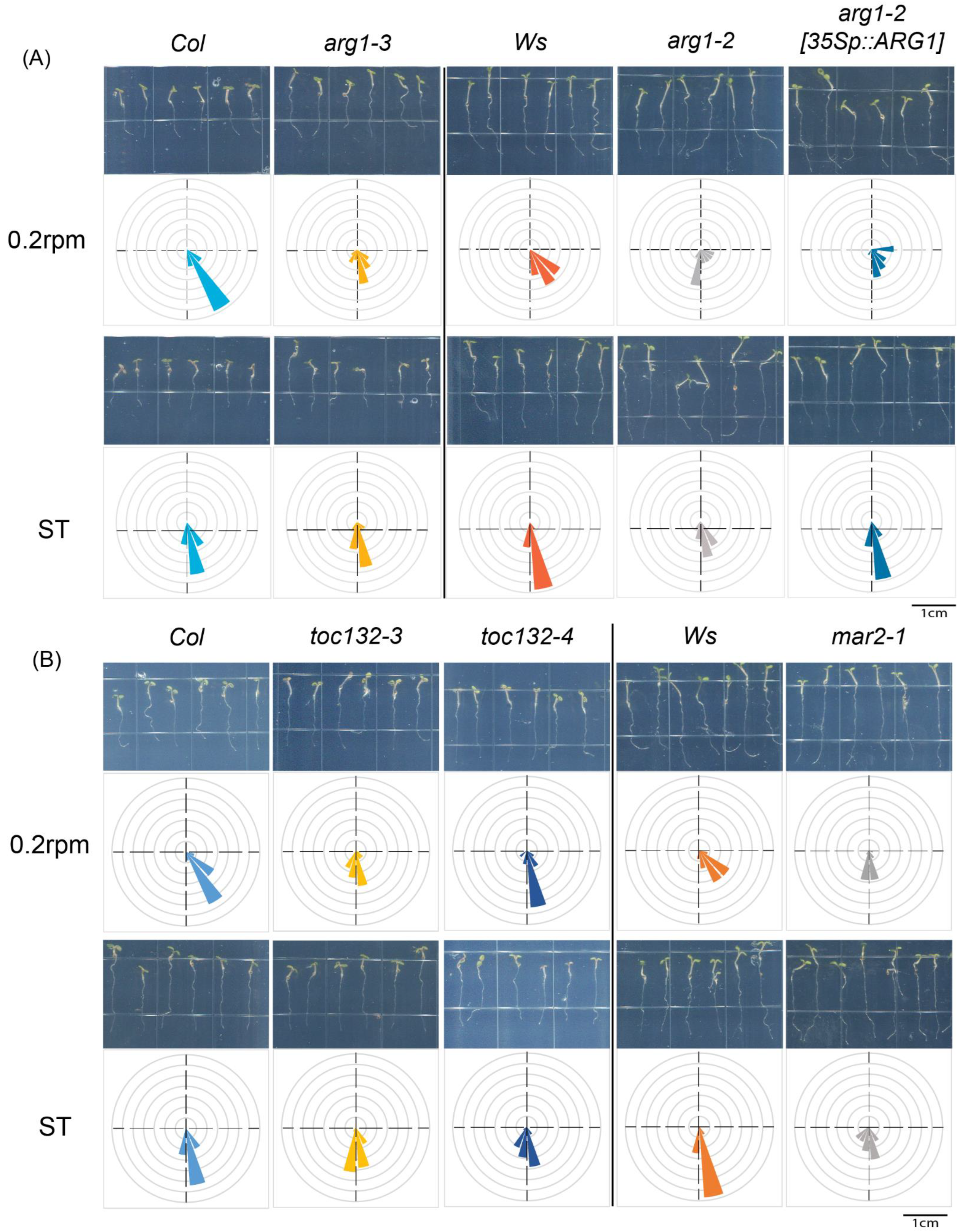 Ijms 24 01540 g002 Ijms 24 01540 g002