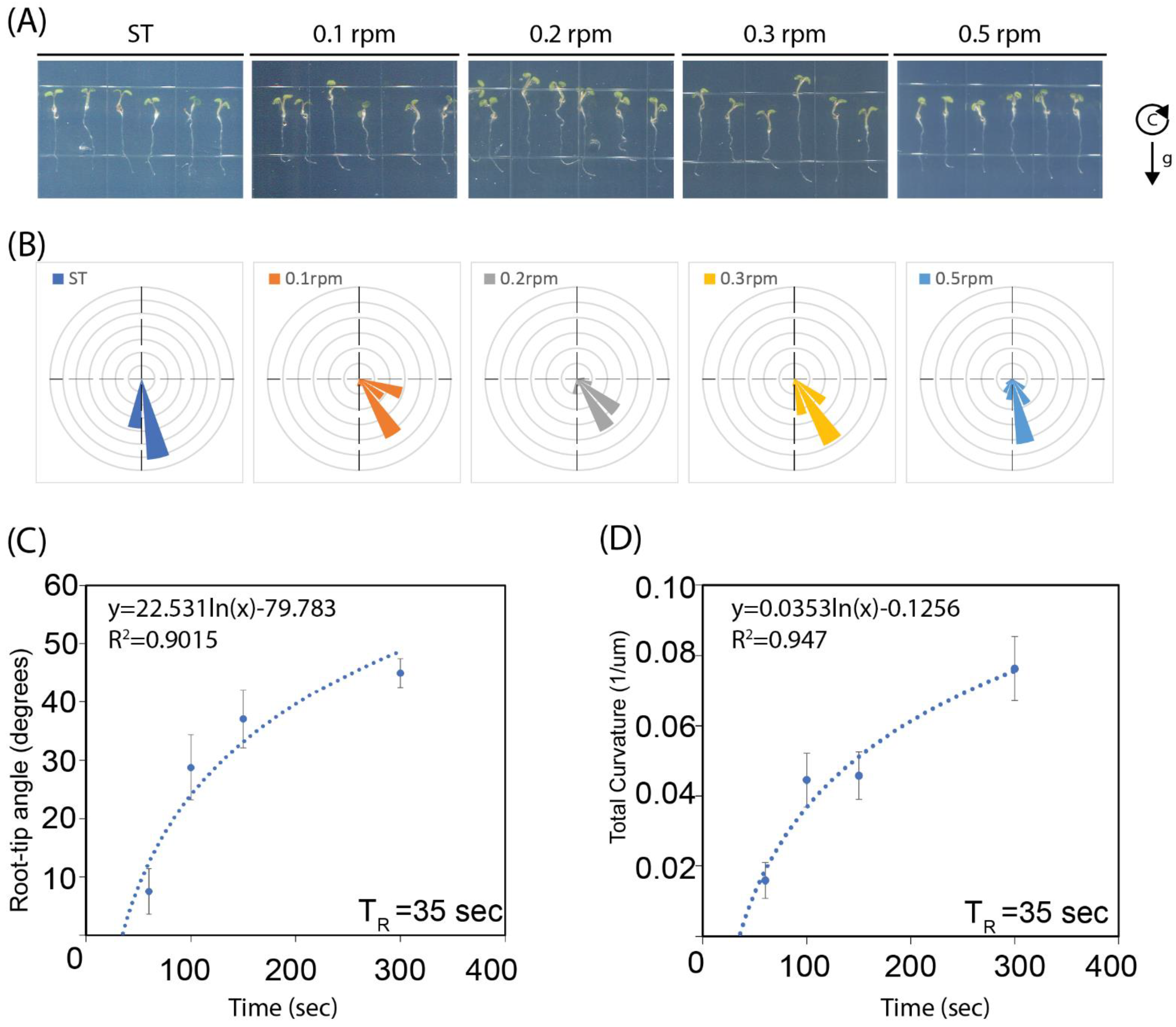 Ijms 24 01540 g003 Ijms 24 01540 g003