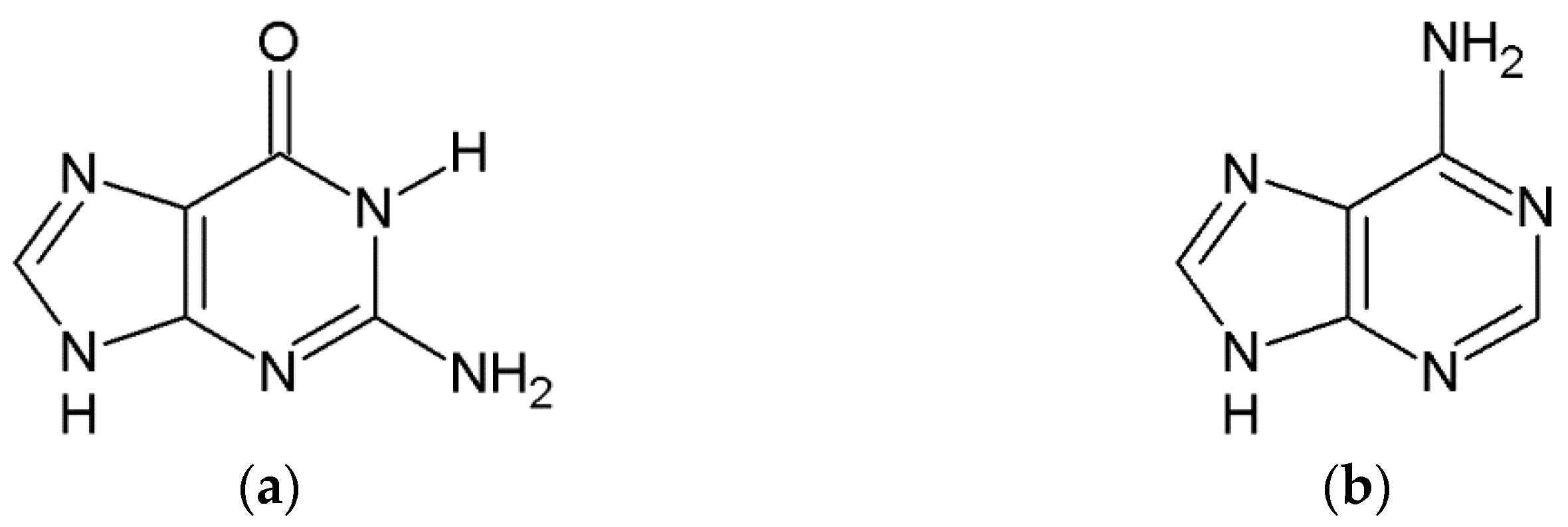 Ijms 24 01548 g005a Ijms 24 01548 g005a