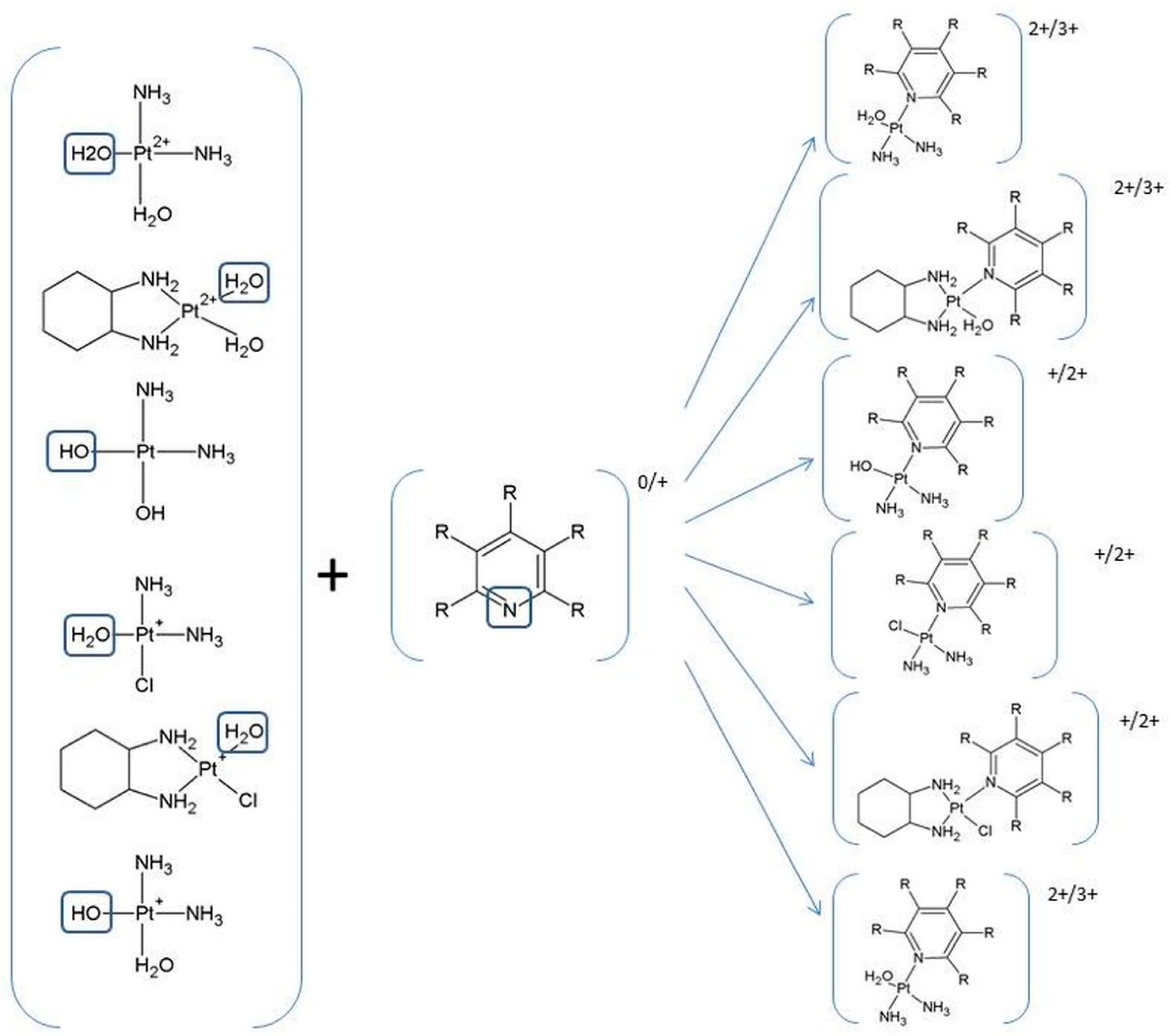 Ijms 24 01548 g006 Ijms 24 01548 g006