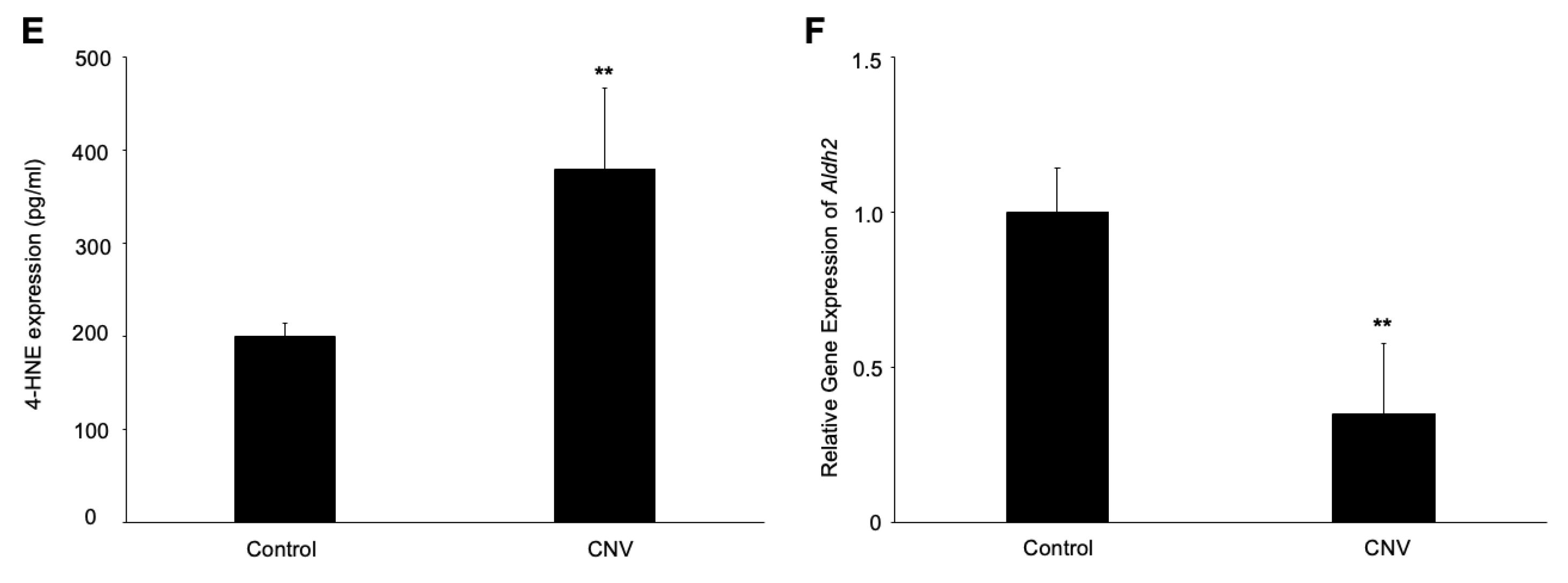 Ijms 24 01582 g001b Ijms 24 01582 g001b