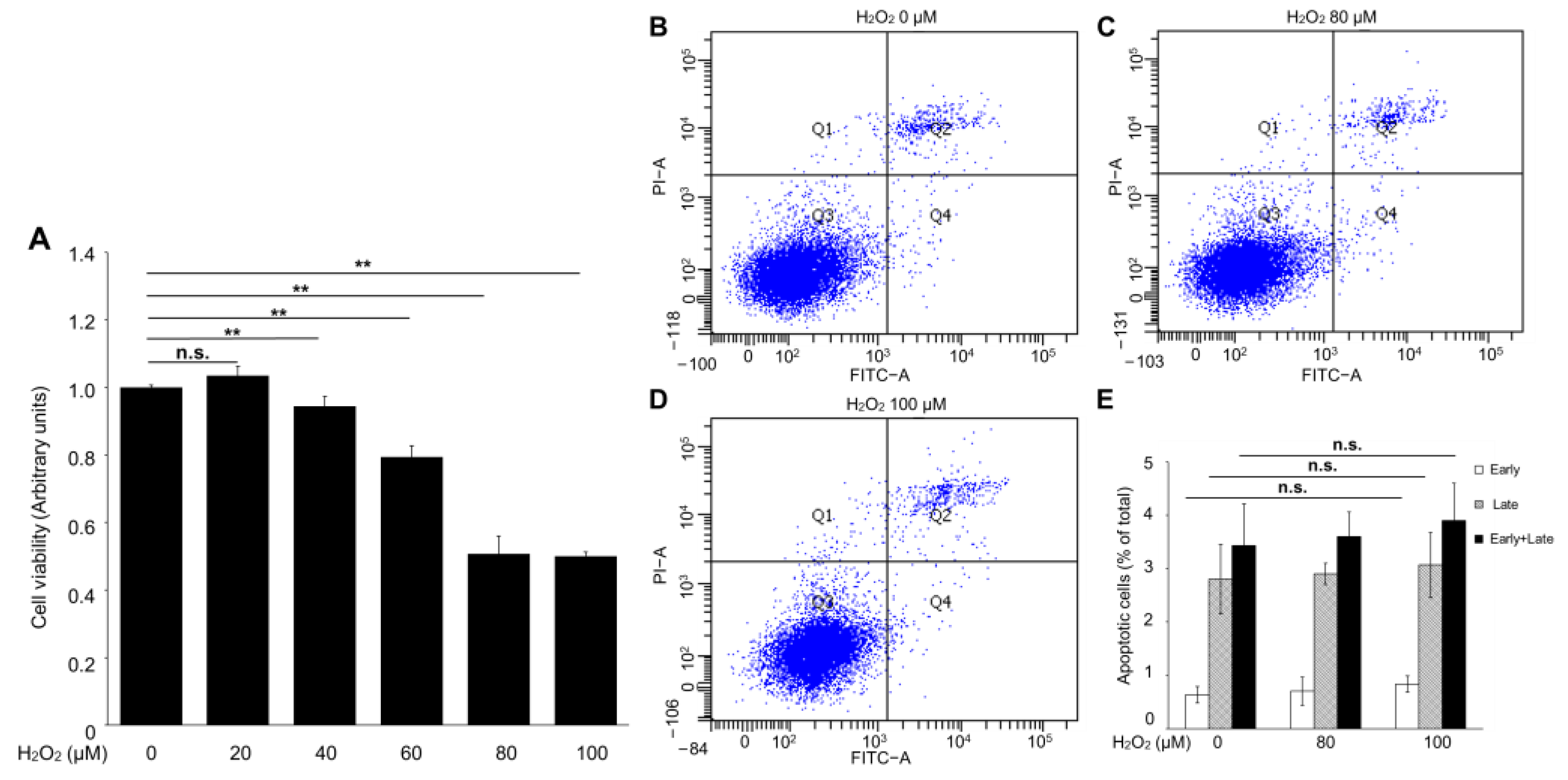 Ijms 24 01582 g002 Ijms 24 01582 g002