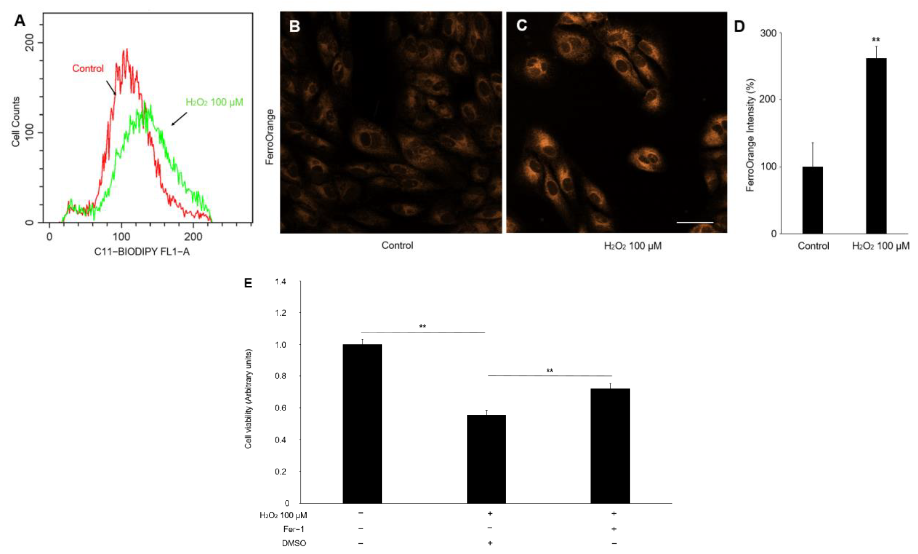 Ijms 24 01582 g003 Ijms 24 01582 g003